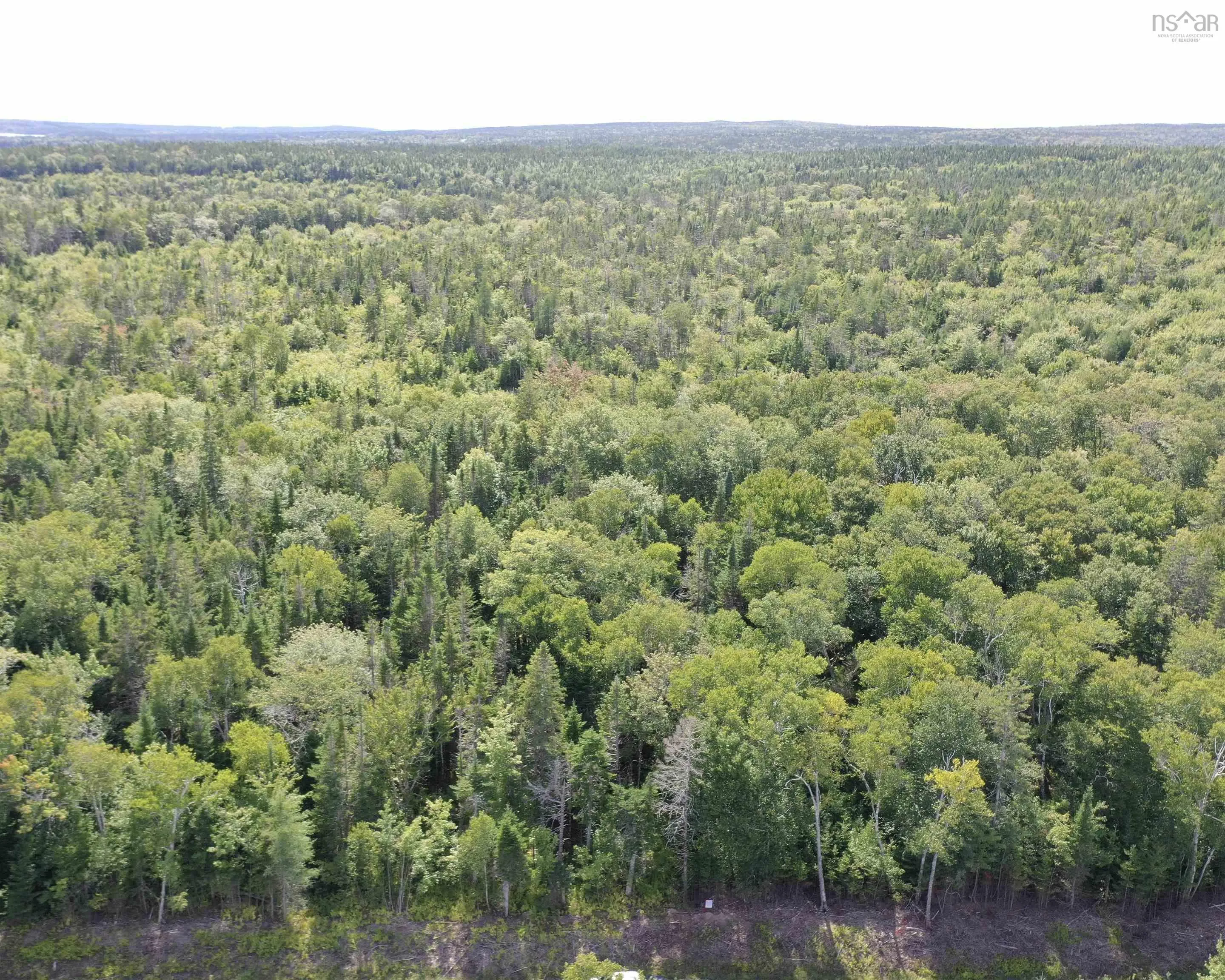 32 Wall Street, Cape George Estates, NS B0E 3B0, ,Land,For Sale,Wall,202521960