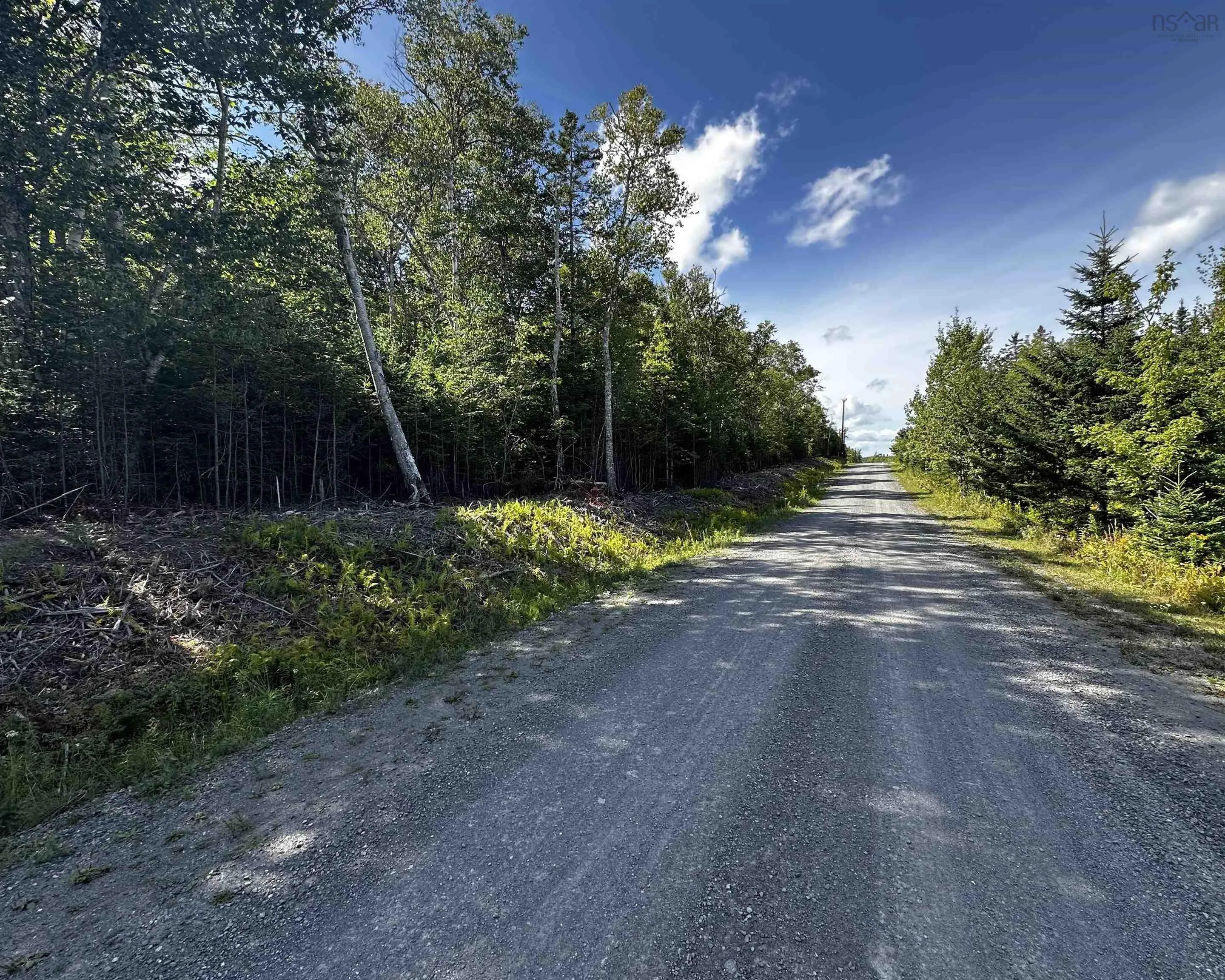 32 Wall Street, Cape George Estates, NS B0E 3B0, ,Land,For Sale,Wall,202521960