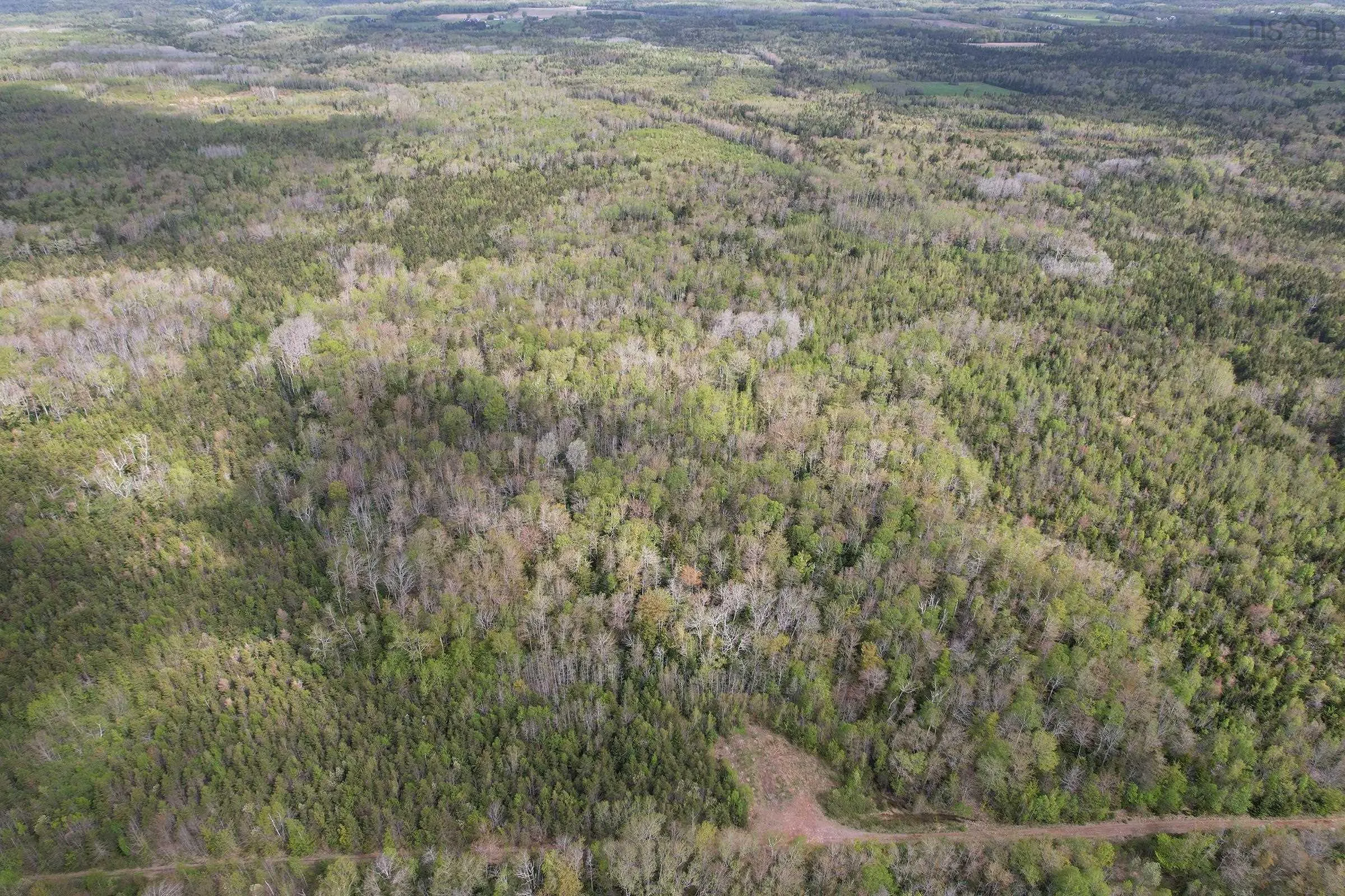 Lot Gould Road, Burlington, NS B0P 1E0, ,Land,For Sale,Gould,202511780
