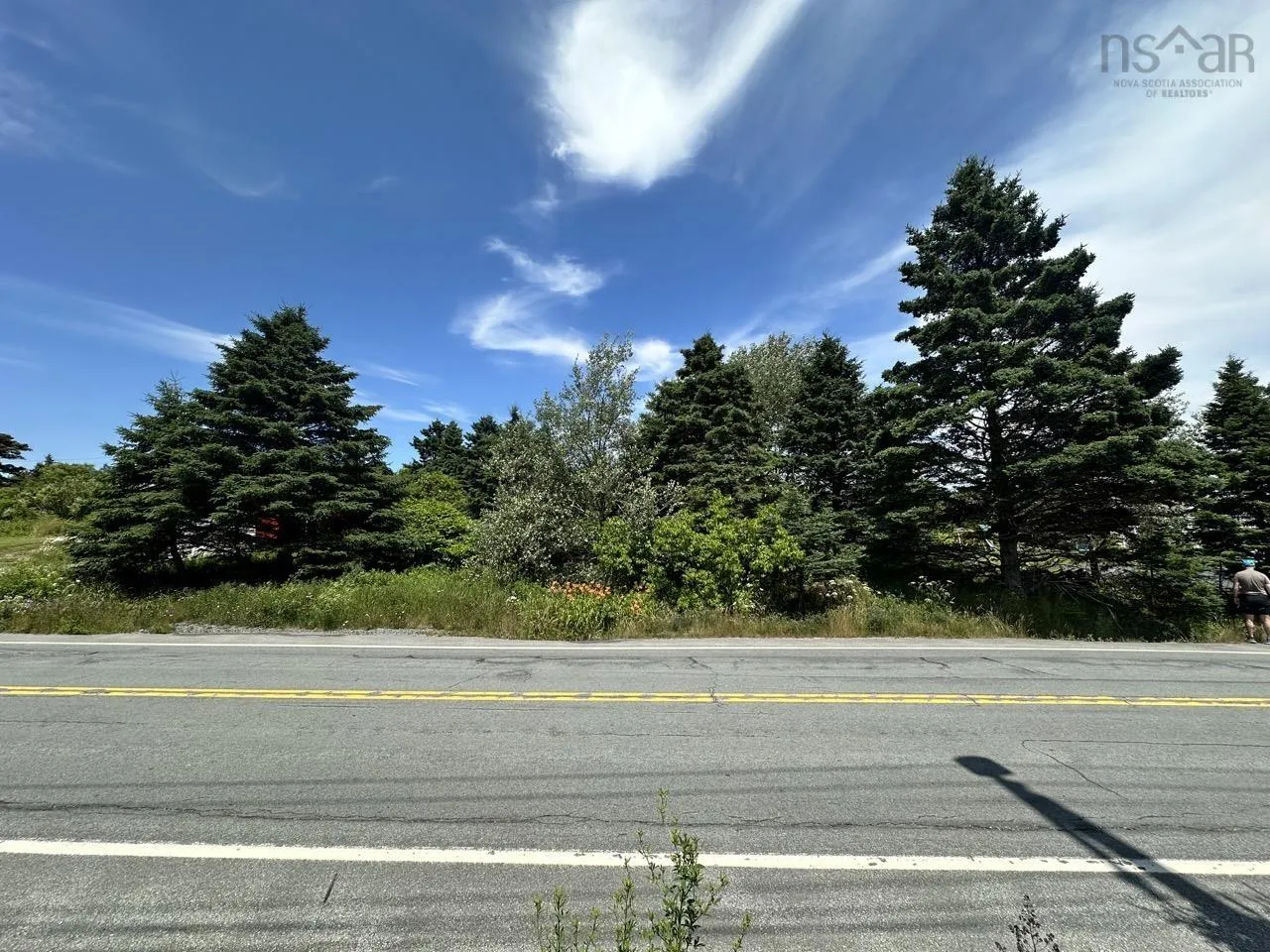 Highway 349, Ketch Harbour, NS B3V 1K7, ,Land,For Sale,Highway 349,202519104