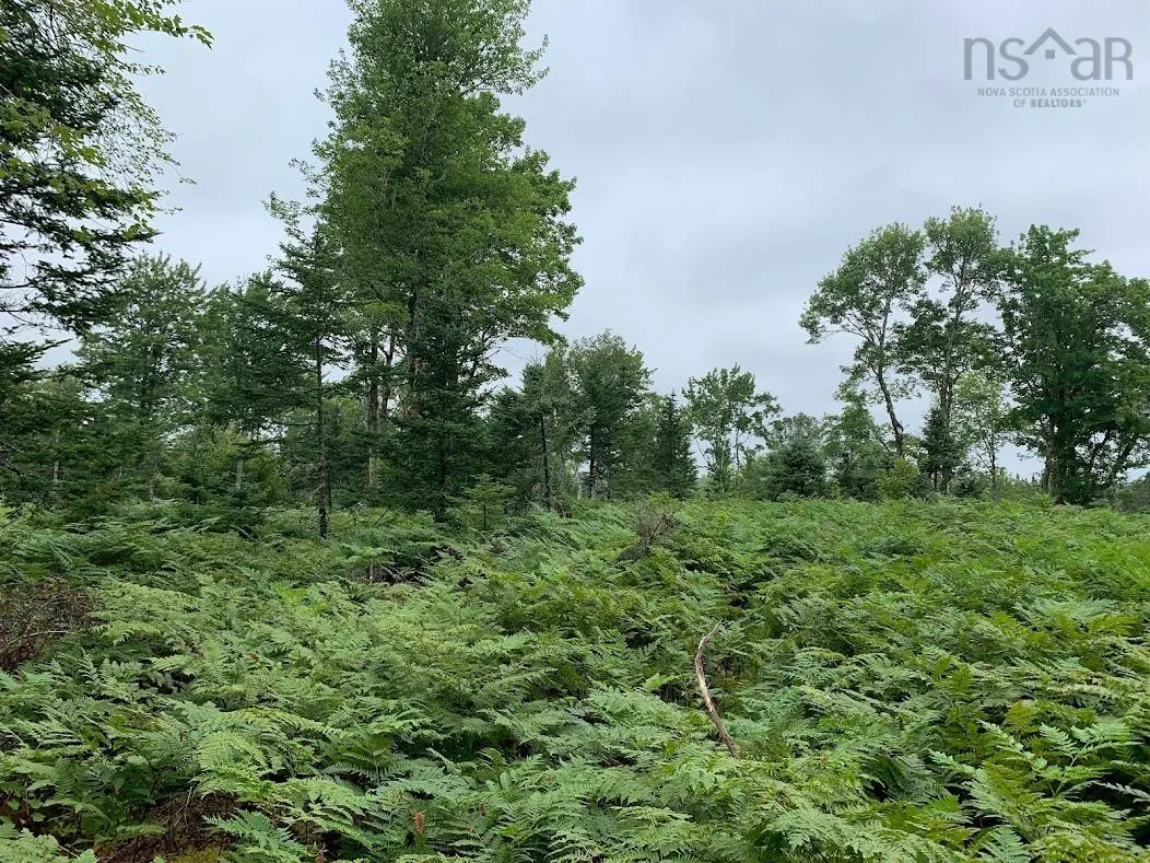 Pleasant River Preserve Lot 1, Pleasant River Ns B0t 1x0, ,Land,For Sale,Pleasant River Preserve,202418577
