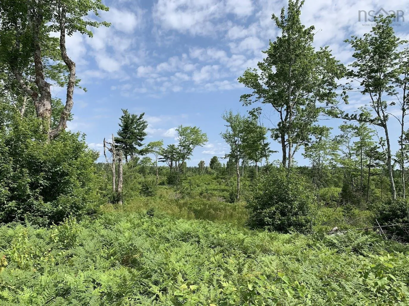 Pleasant River Preserve Lot 1, Pleasant River Ns B0t 1x0, ,Land,For Sale,Pleasant River Preserve,202418577