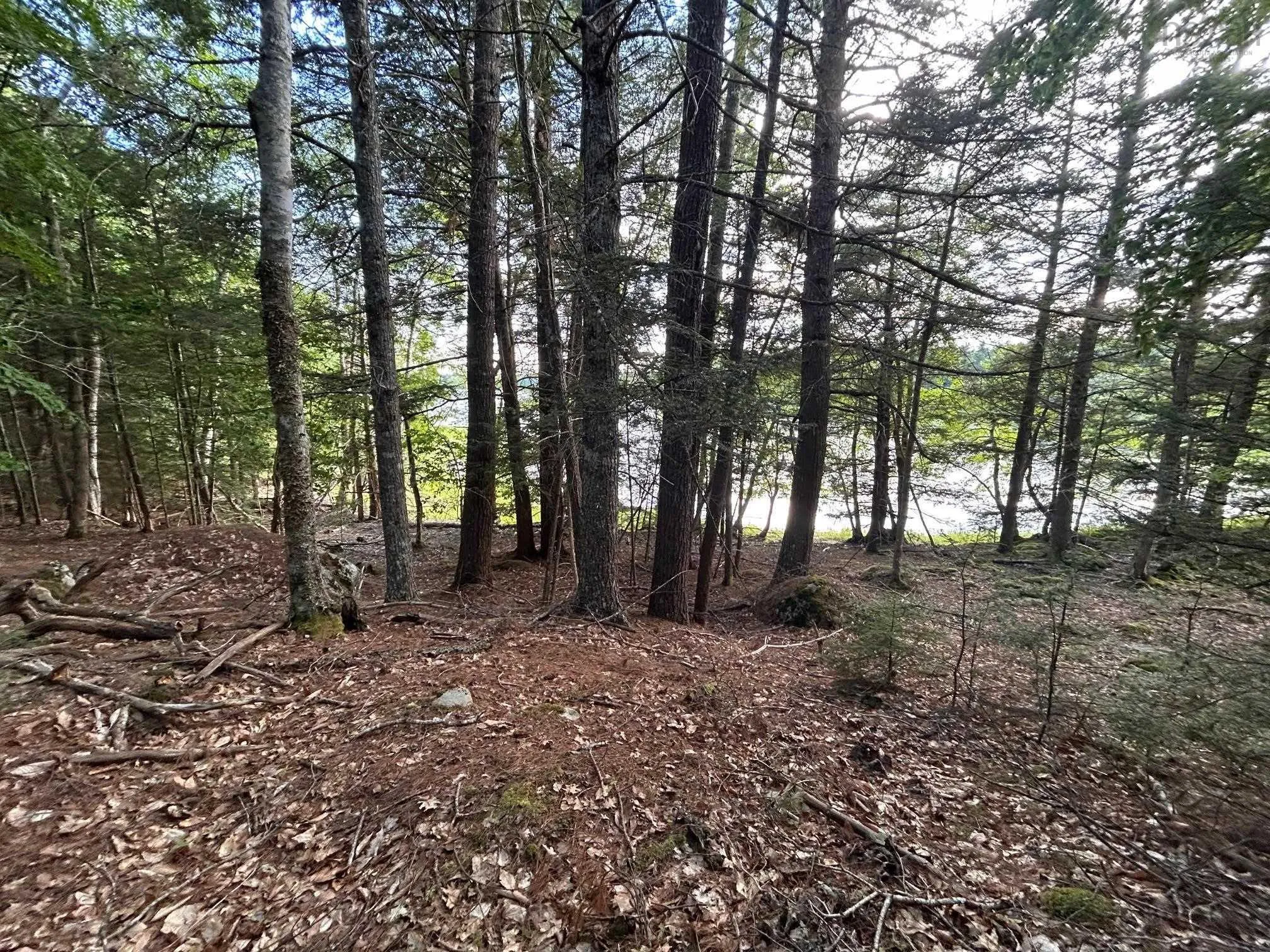 Maplesue Point Drive Lot 27, Molega Ns B0t 1x0, ,Land,For Sale,Maplesue Point,202415925