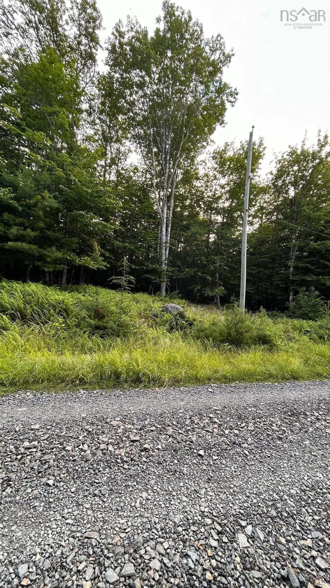 Maplesue Point Drive Lot 27, Molega Ns B0t 1x0, ,Land,For Sale,Maplesue Point,202415925