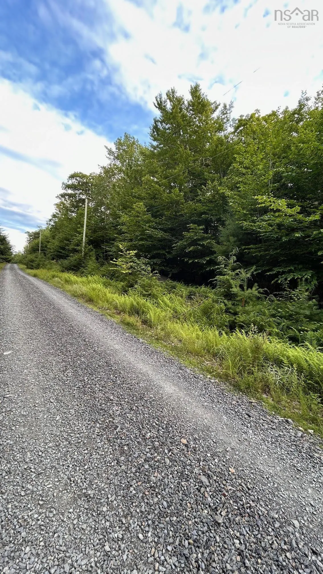 Maplesue Point Drive Lot 27, Molega Ns B0t 1x0, ,Land,For Sale,Maplesue Point,202415925