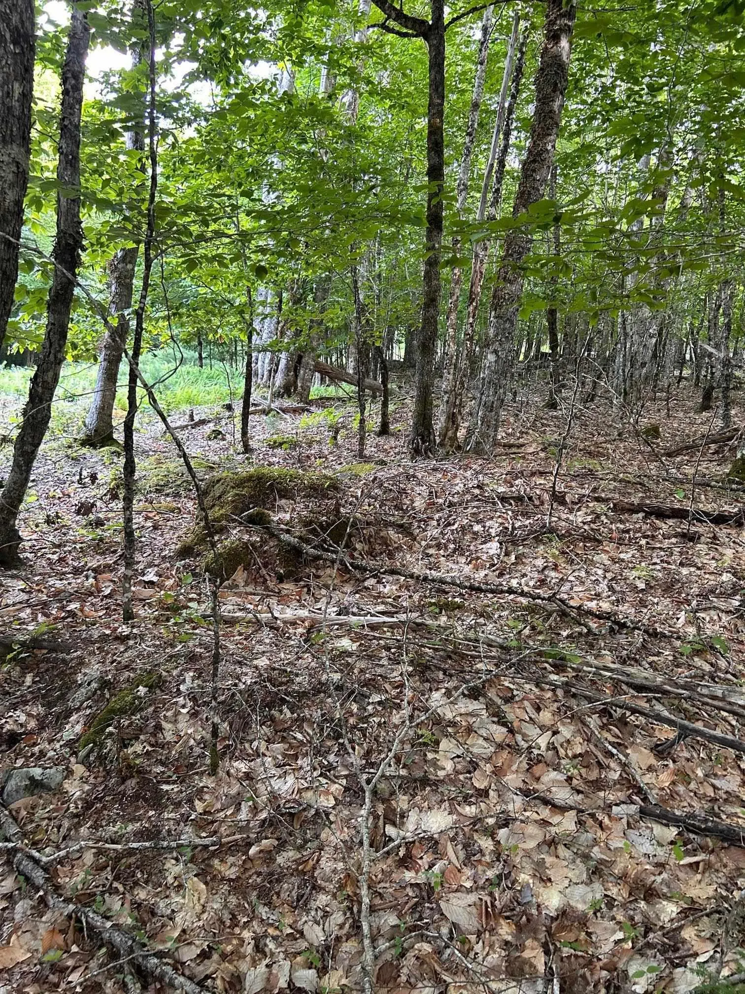 Maplesue Point Drive Lot 27, Molega Ns B0t 1x0, ,Land,For Sale,Maplesue Point,202415925
