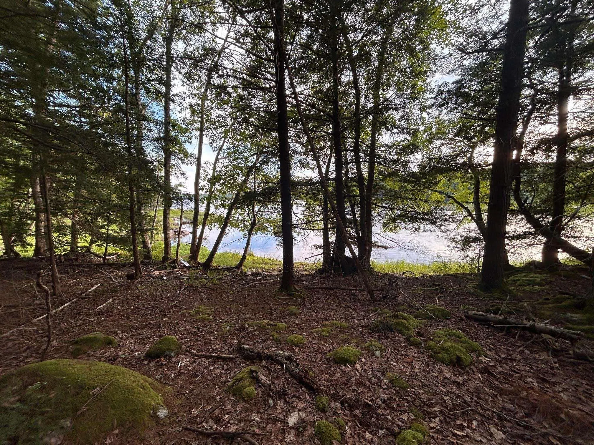Maplesue Point Drive Lot 27, Molega Ns B0t 1x0, ,Land,For Sale,Maplesue Point,202415925