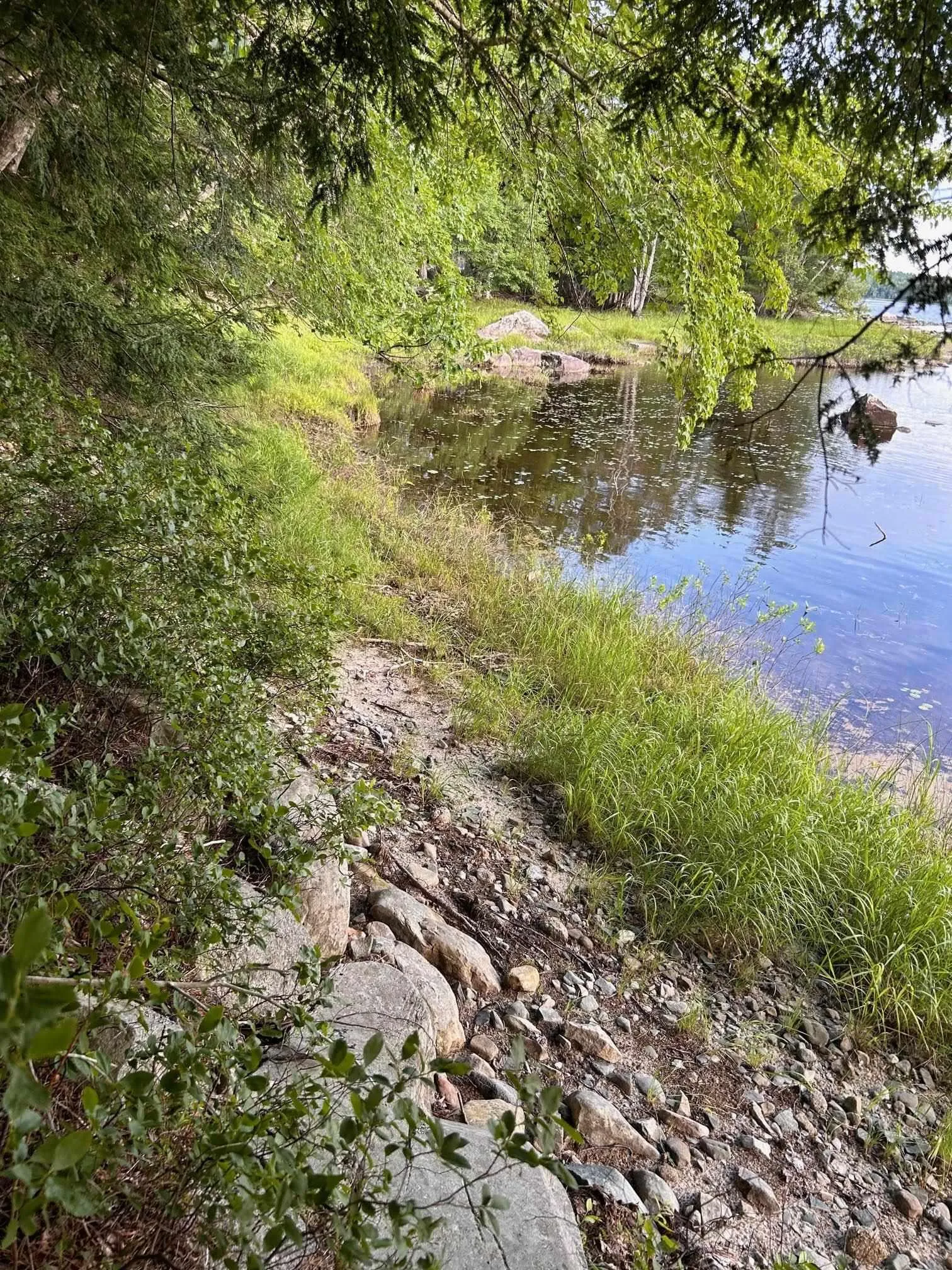 Maplesue Point Drive Lot 27, Molega Ns B0t 1x0, ,Land,For Sale,Maplesue Point,202415925