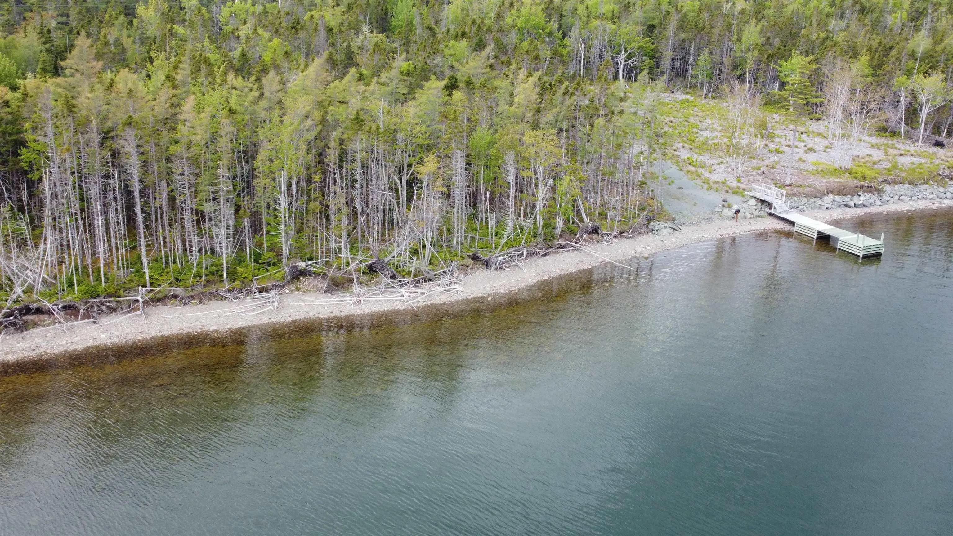 Maple Drive Lot 39, Cape George Estates Ns B0e 3b0, ,Land,For Sale,Maple,202413100