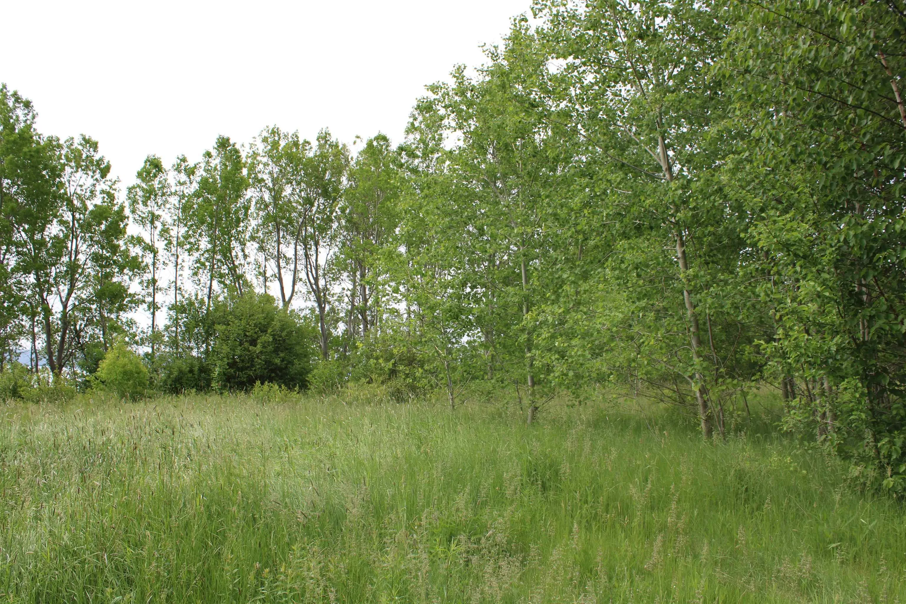 Granville Road, Karsdale Ns B0s 1a0, ,Land,For Sale,Granville,202504915