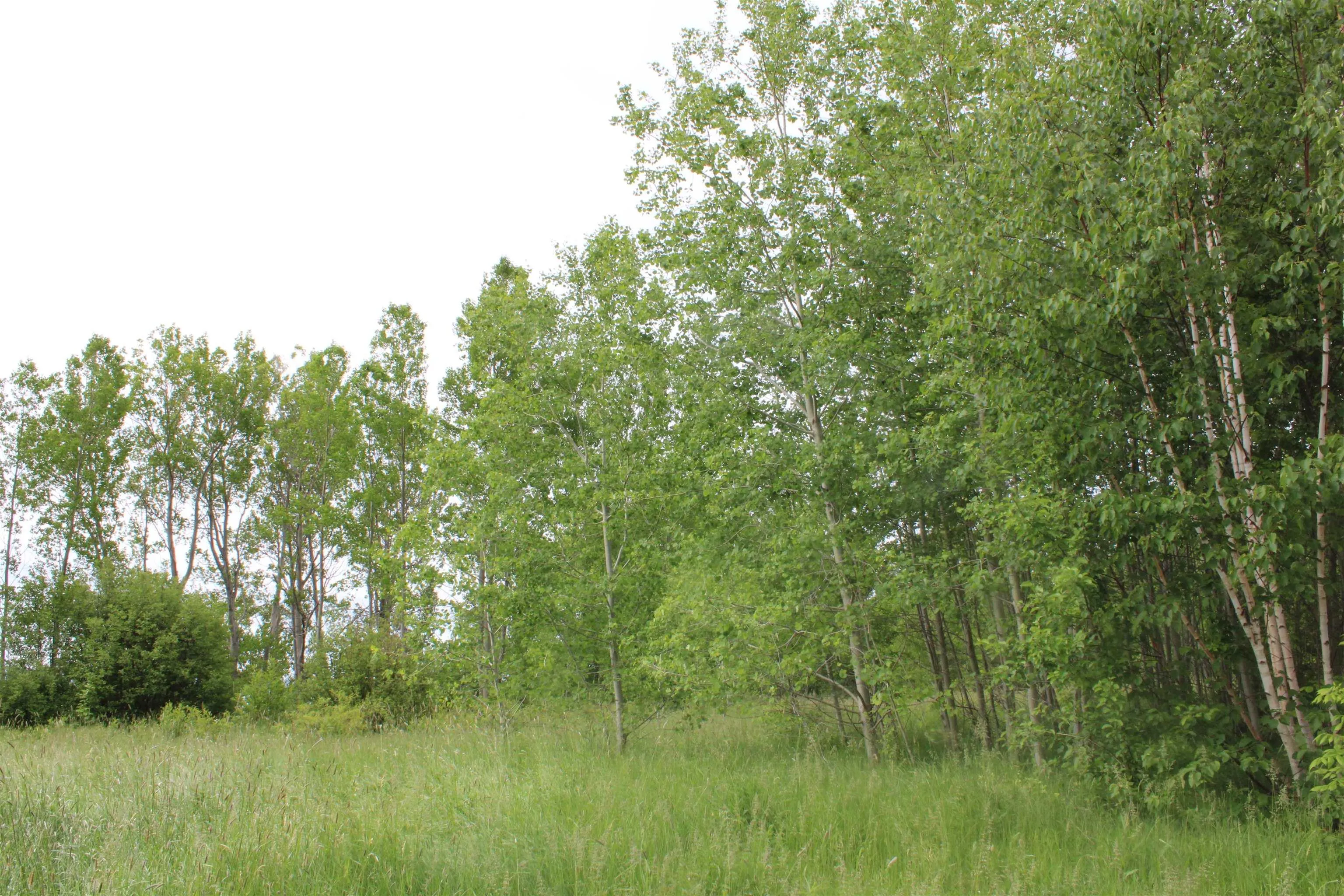 Granville Road, Karsdale Ns B0s 1a0, ,Land,For Sale,Granville,202504915