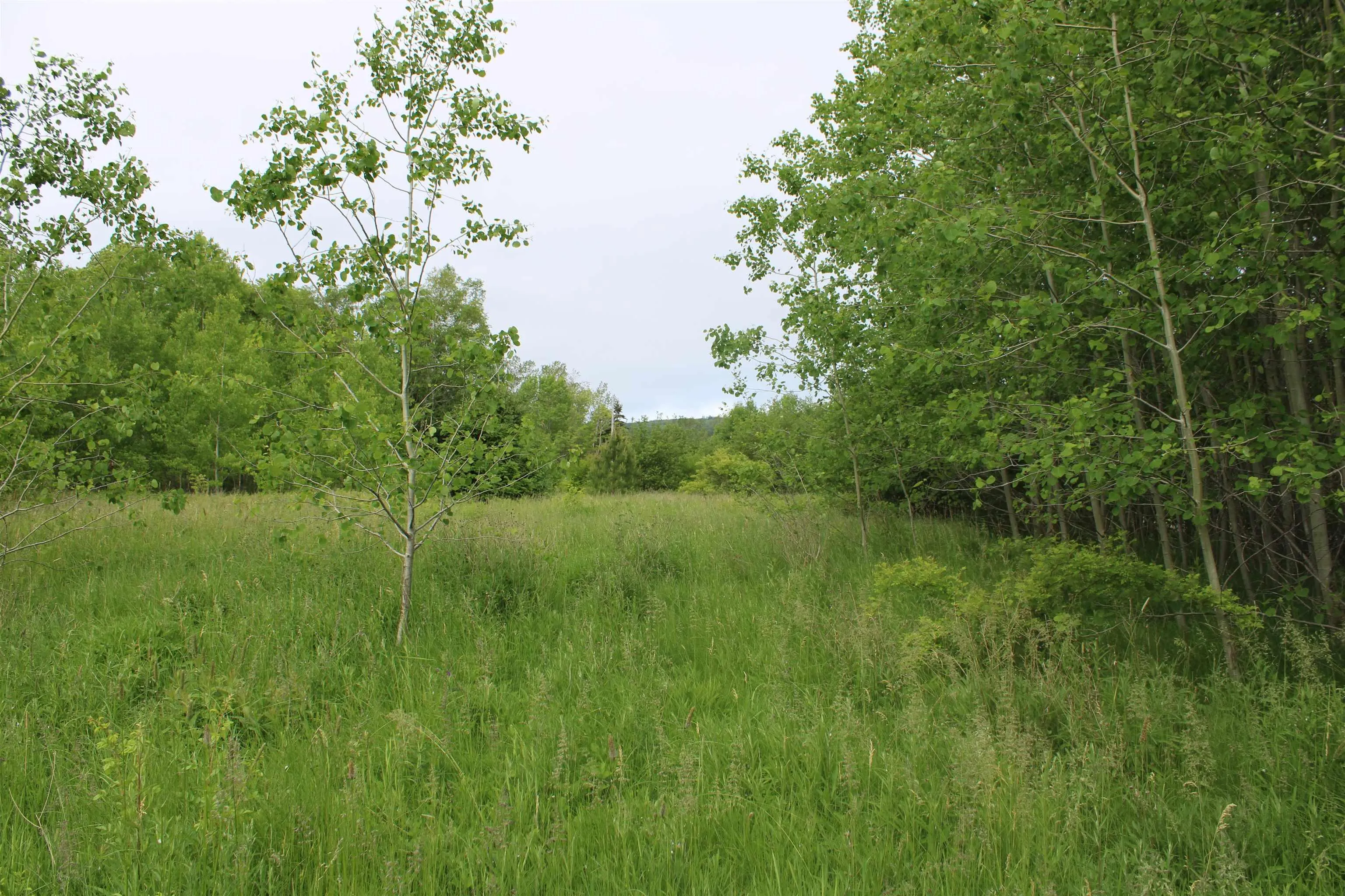 Granville Road, Karsdale Ns B0s 1a0, ,Land,For Sale,Granville,202504915