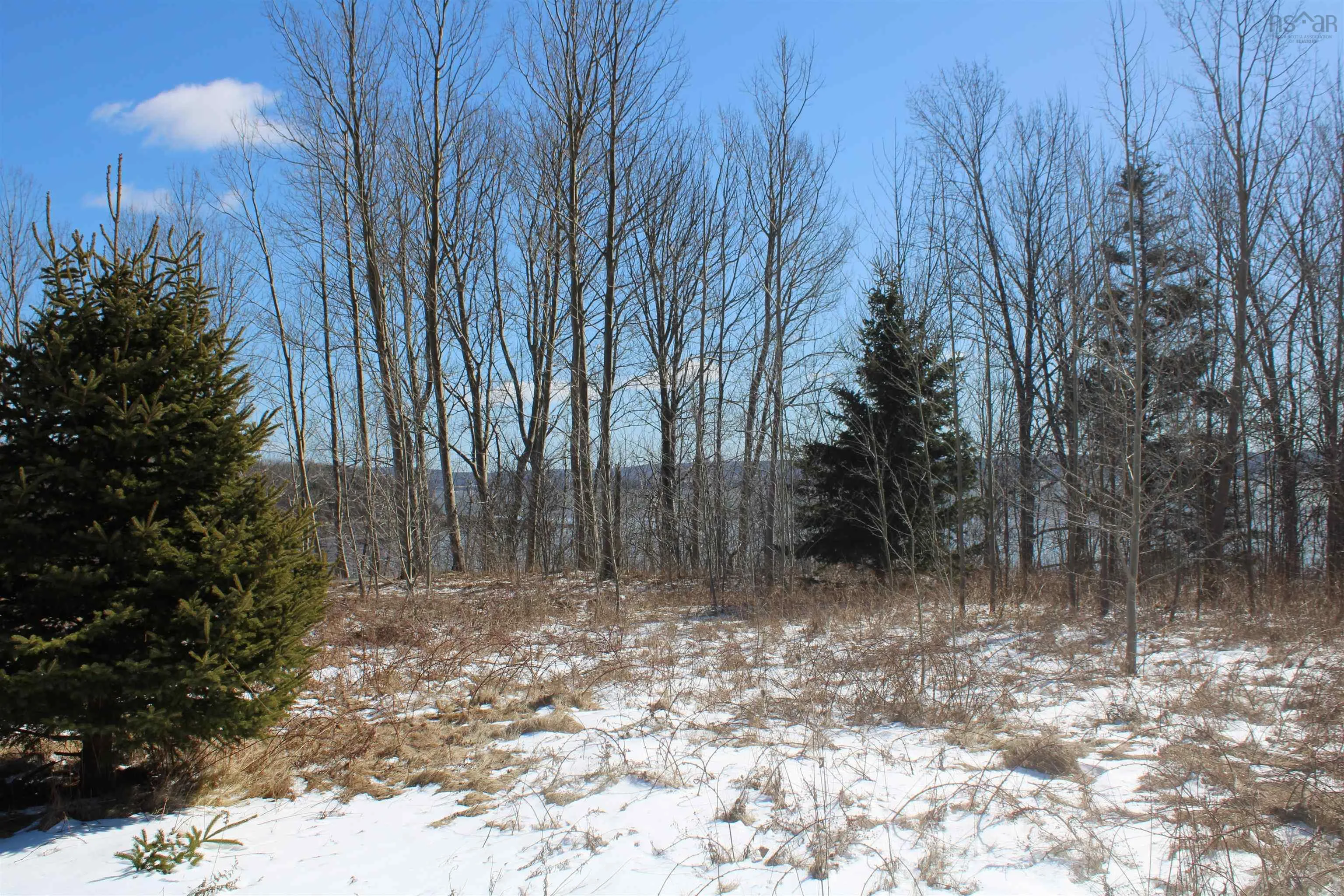 Granville Road, Karsdale Ns B0s 1a0, ,Land,For Sale,Granville,202504915
