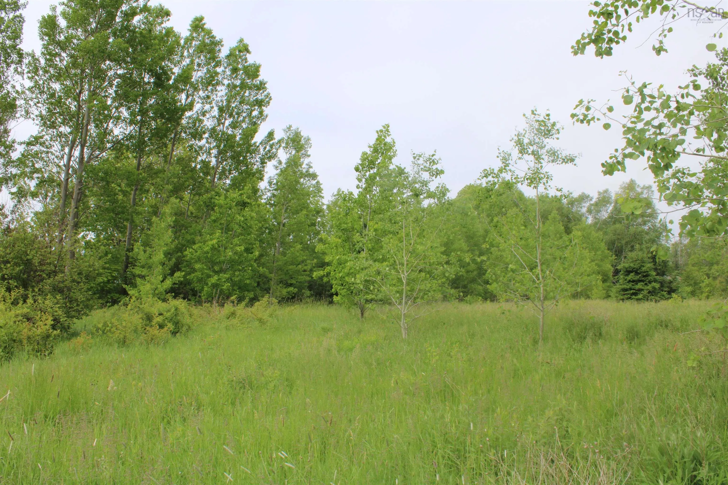Granville Road, Karsdale Ns B0s 1a0, ,Land,For Sale,Granville,202504915