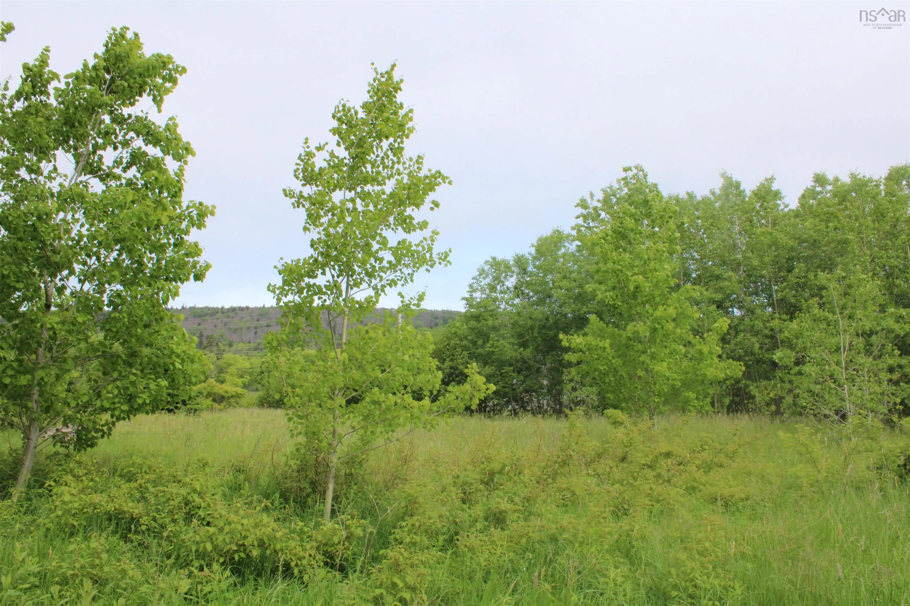 Granville Road, Karsdale Ns B0s 1a0, ,Land,For Sale,Granville,202504915
