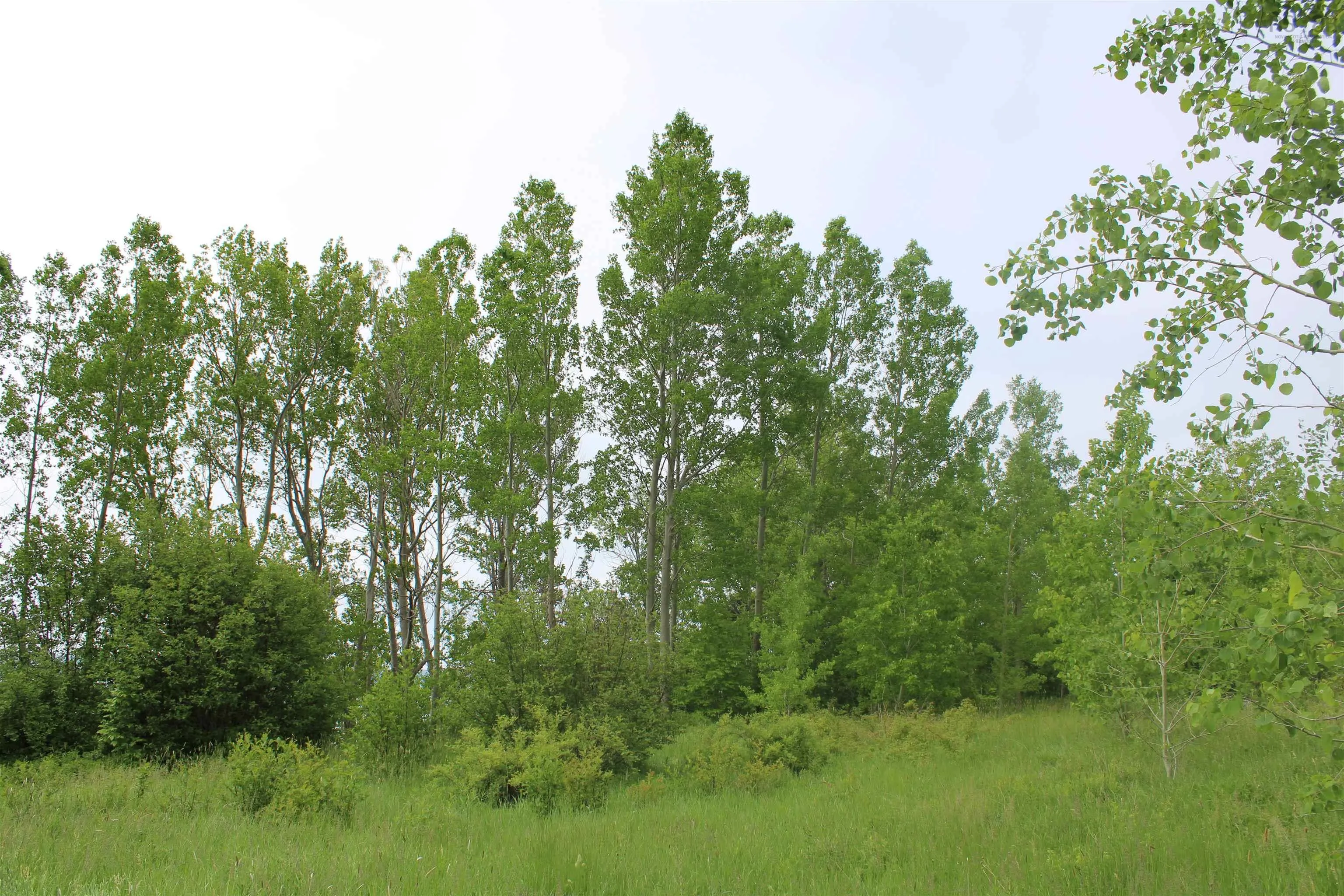 Granville Road, Karsdale Ns B0s 1a0, ,Land,For Sale,Granville,202504915