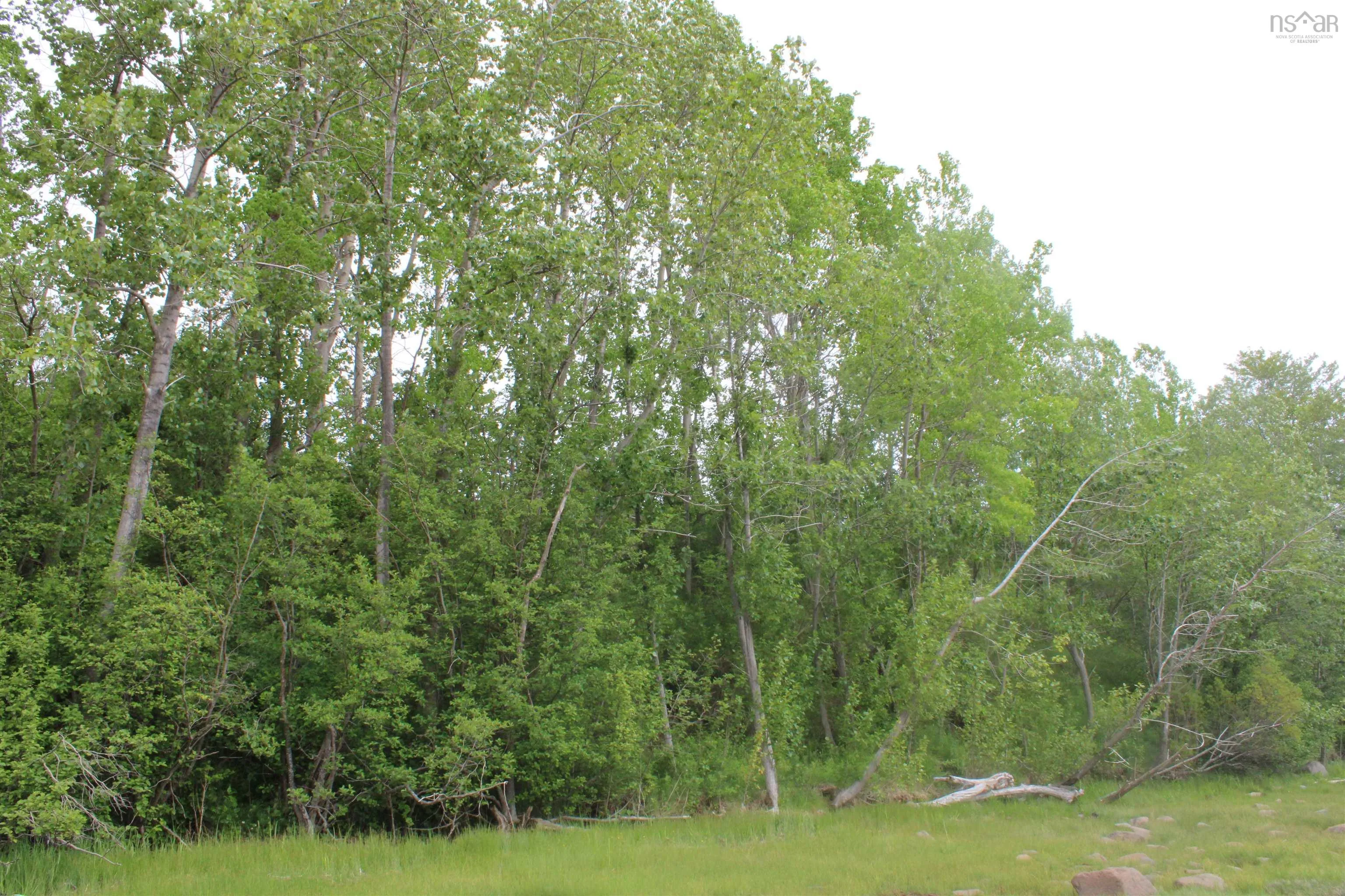 Granville Road, Karsdale Ns B0s 1a0, ,Land,For Sale,Granville,202504915