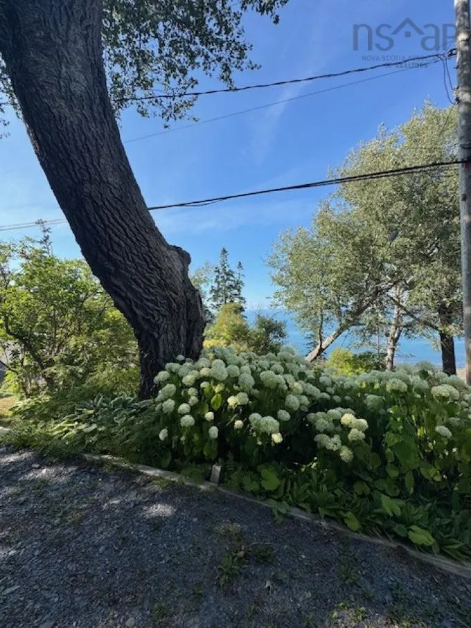 3252 Long Point Road, Harbourville, NS B0P 1E0, 3 Bedrooms Bedrooms, ,1 BathroomBathrooms,Residential,For Sale,Long Point,202522756