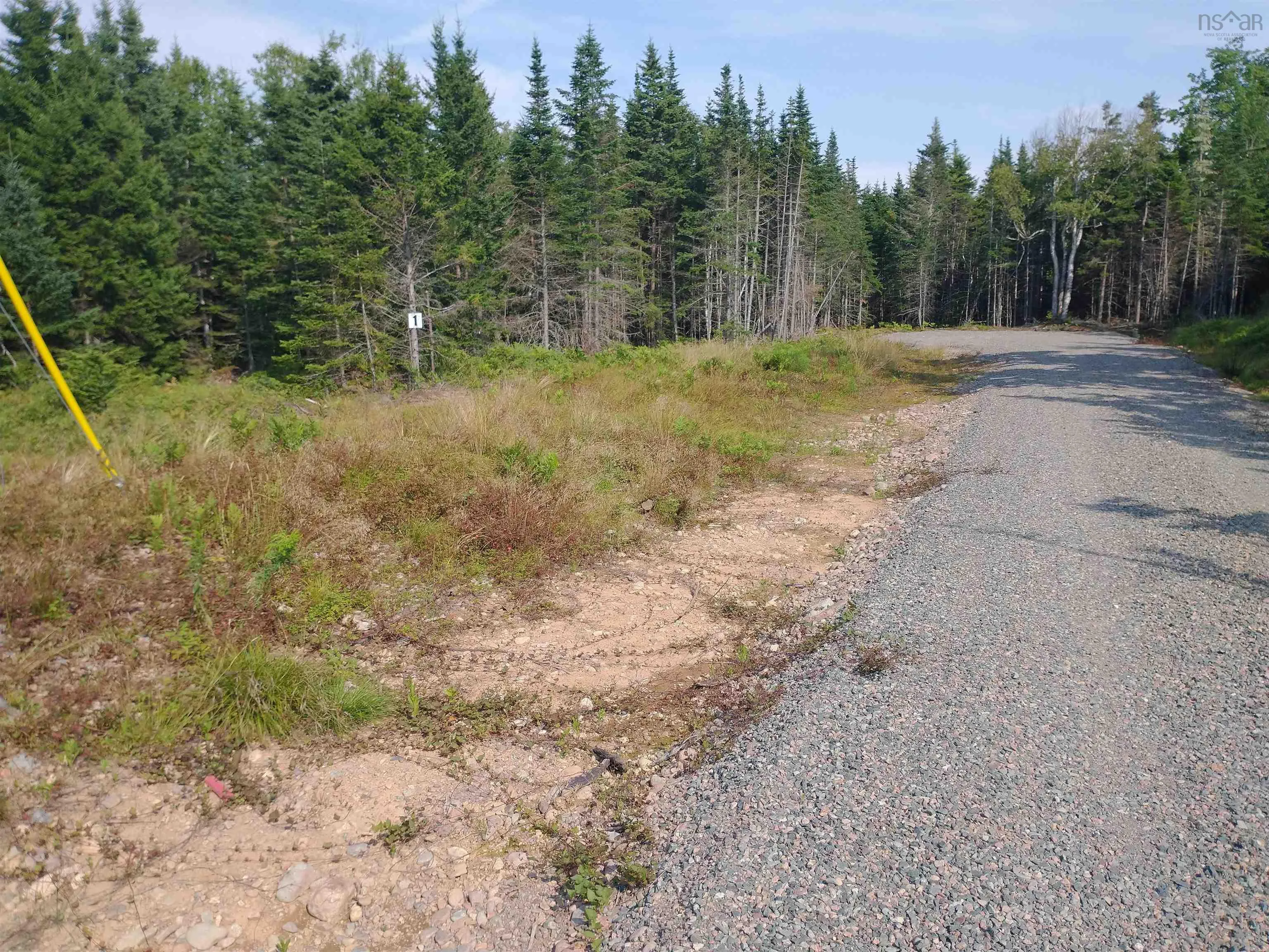 Dance Hall Lane Lot 1, Portapique Ns B0m 1b0, ,Land,For Sale,Dance Hall,202426563