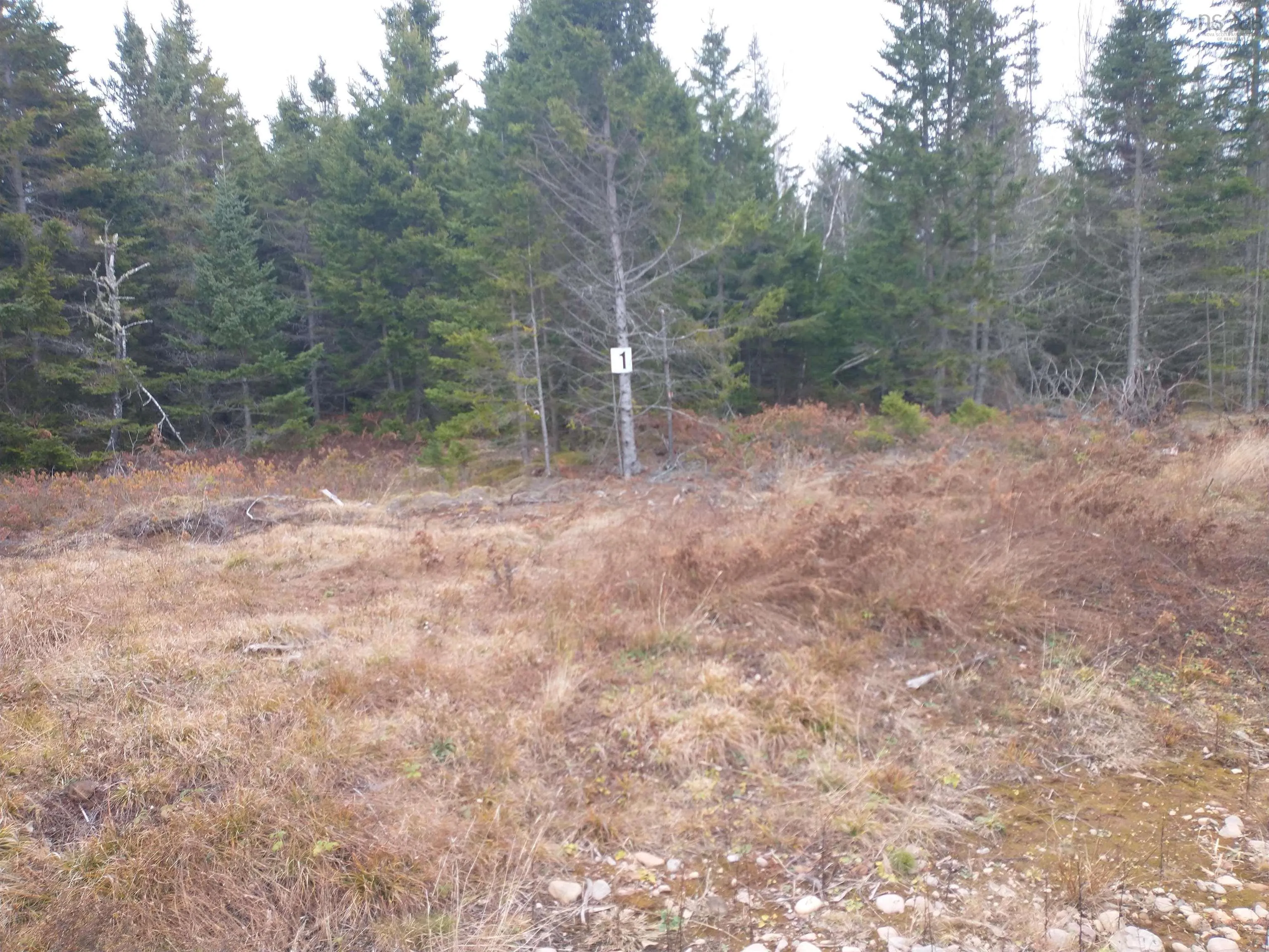 Dance Hall Lane Lot 1, Portapique Ns B0m 1b0, ,Land,For Sale,Dance Hall,202426563
