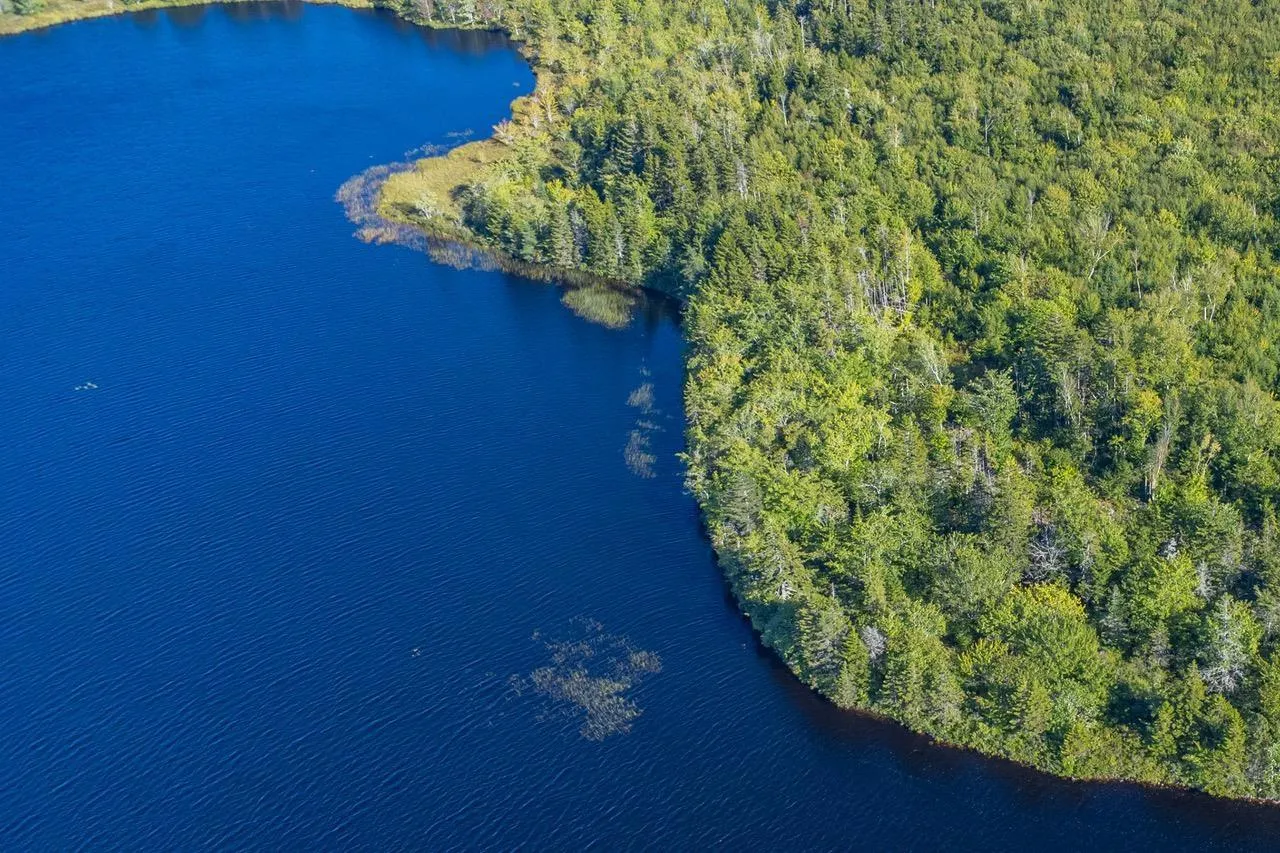 Ruel Du Lac Gaspereau Rue, Mayflower, NS B0W 2Y0, ,Land,For Sale,Ruel Du Lac Gaspereau,202523314