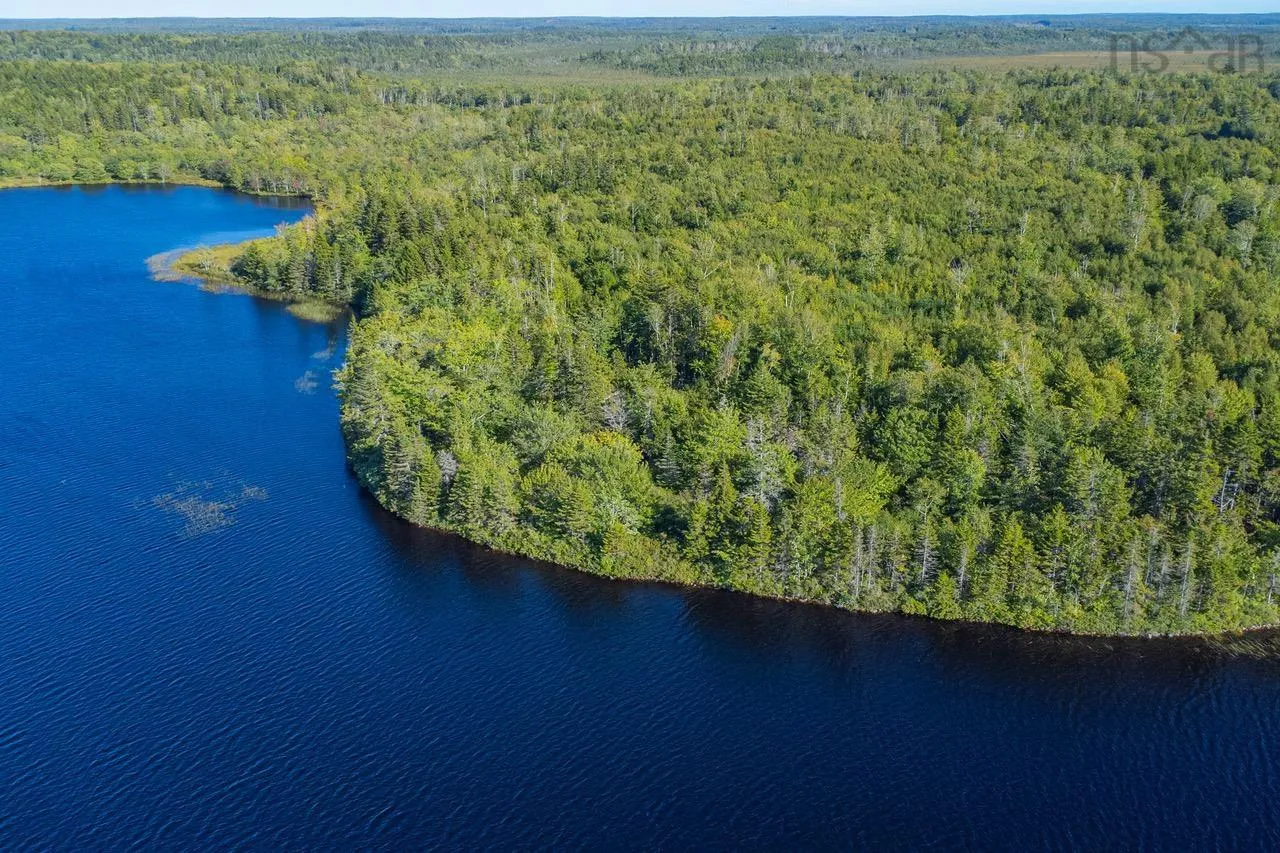 Ruel Du Lac Gaspereau Rue, Mayflower, NS B0W 2Y0, ,Land,For Sale,Ruel Du Lac Gaspereau,202523314