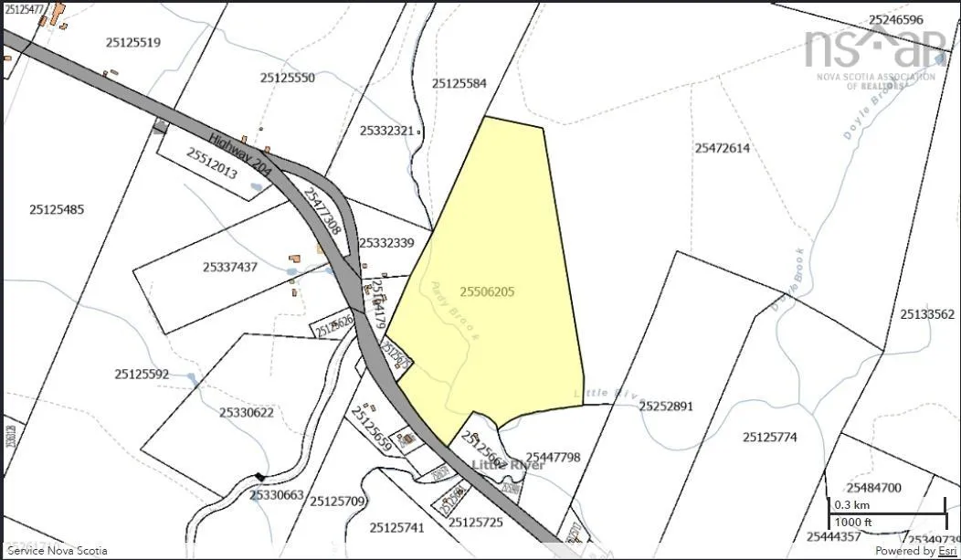 Hwy 204, Oxford, NS B0M 1P0, ,Land,For Sale,Hwy 204,202521418