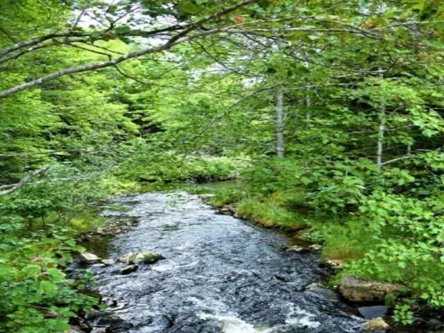 Meek Arm Trail Lot 60, East Uniacke, NS B0N 1Z0, ,Land,For Sale,Meek Arm Trail,202520366