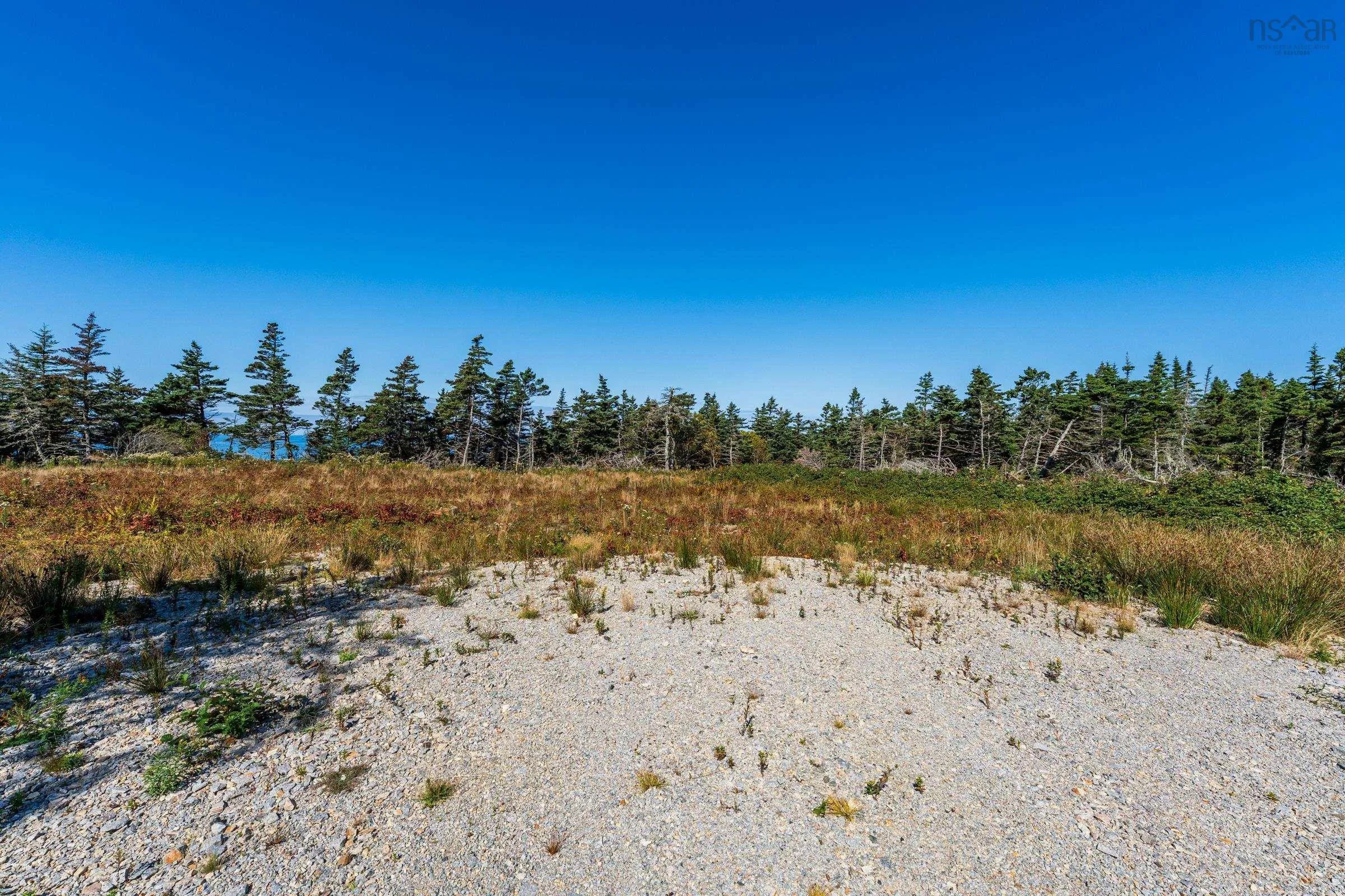 Deveau Shore Road, St. Alphonse, NS B0W 2J0, ,Land,For Sale,Deveau Shore,202523301