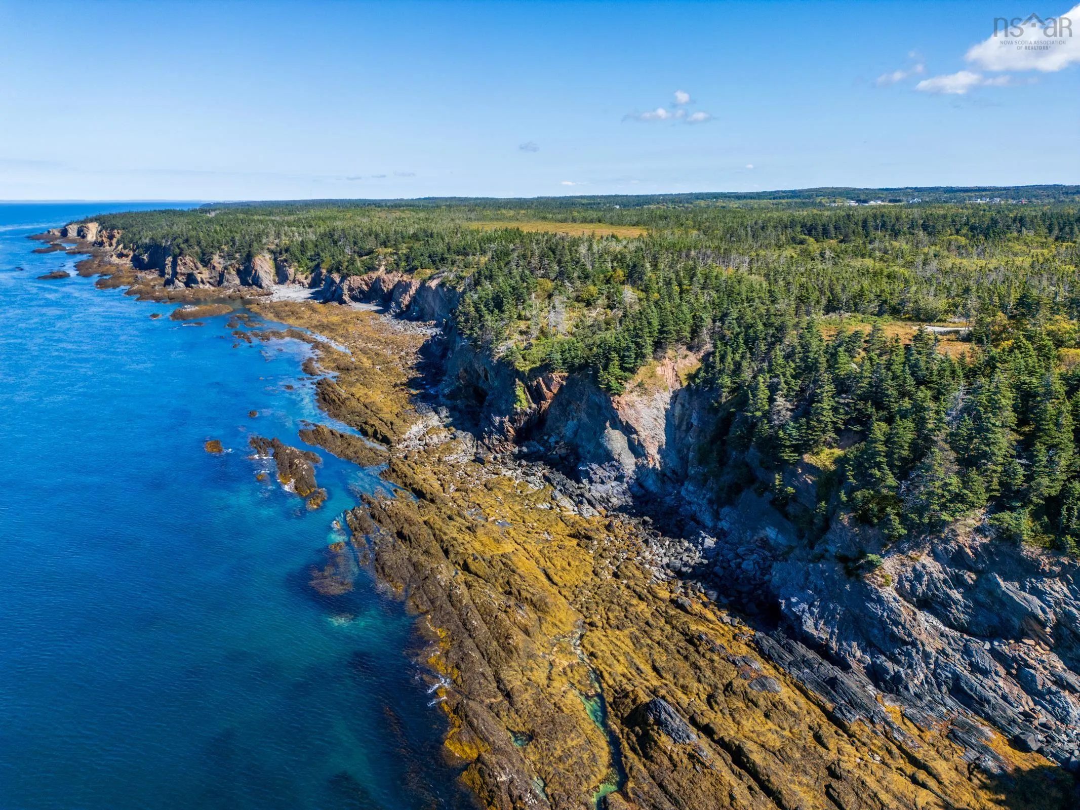 Deveau Shore Road, St. Alphonse, NS B0W 2J0, ,Land,For Sale,Deveau Shore,202523301