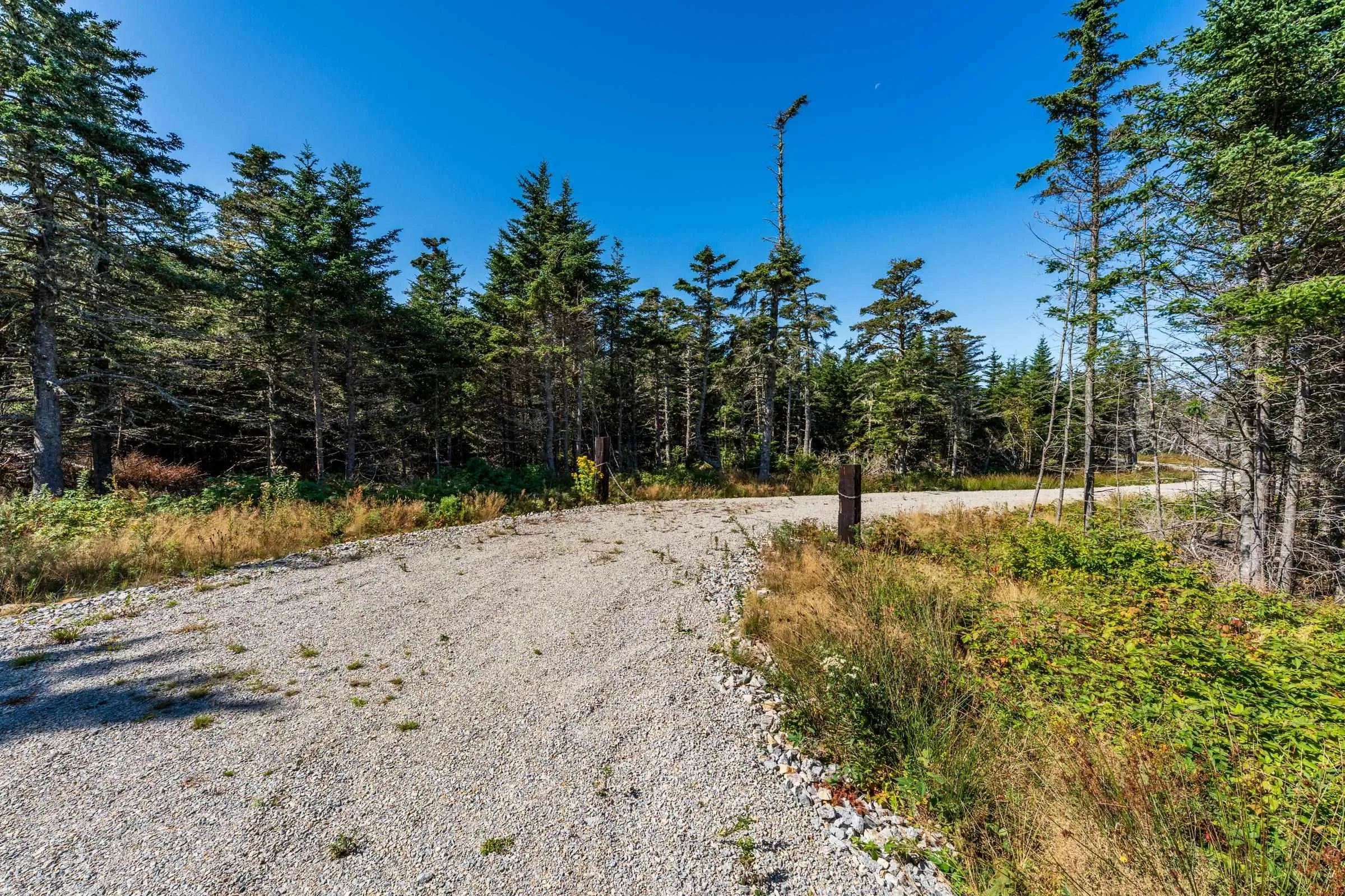 Deveau Shore Road, St. Alphonse, NS B0W 2J0, ,Land,For Sale,Deveau Shore,202523301