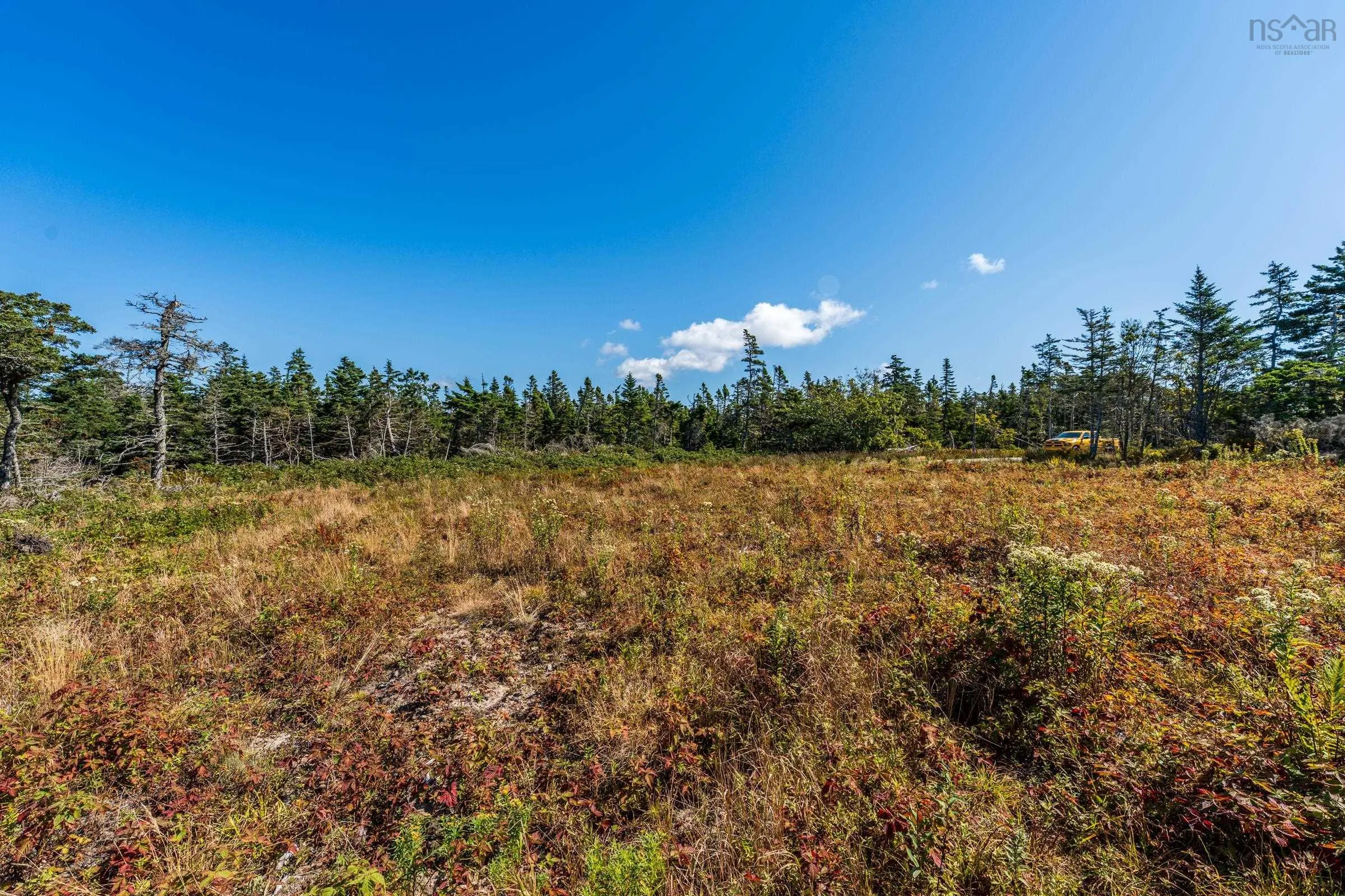 Deveau Shore Road, St. Alphonse, NS B0W 2J0, ,Land,For Sale,Deveau Shore,202523301