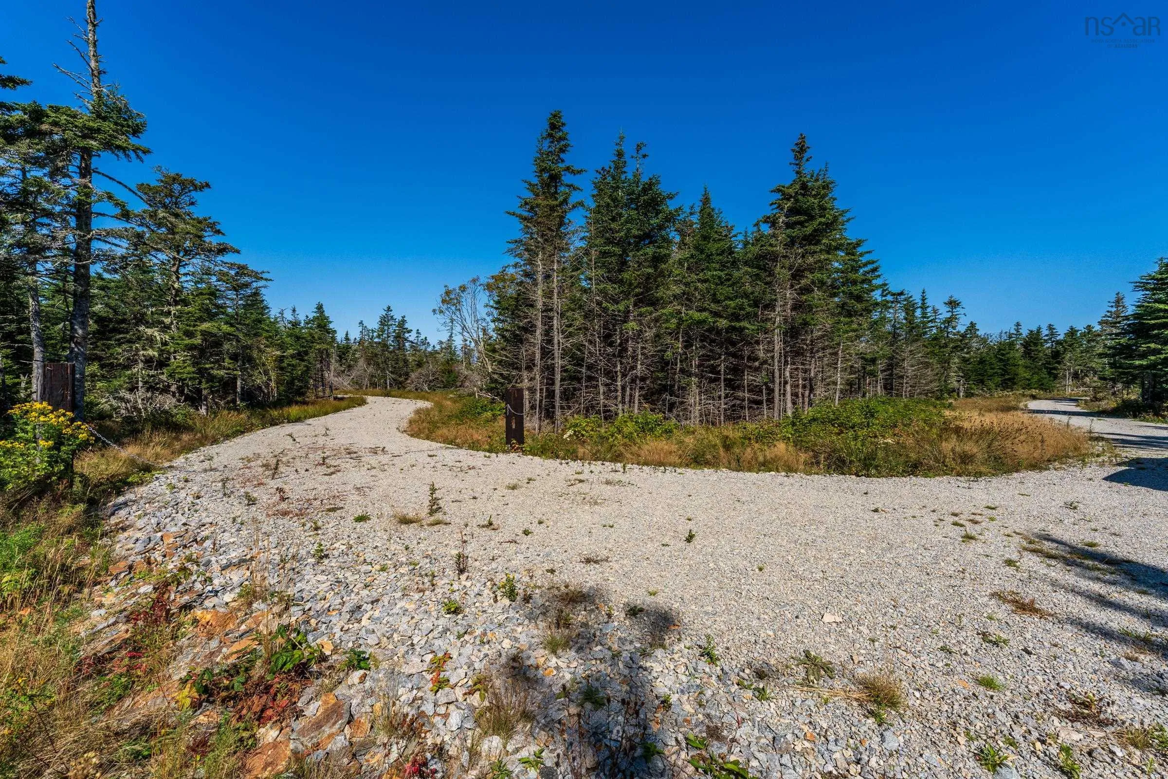 Deveau Shore Road, St. Alphonse, NS B0W 2J0, ,Land,For Sale,Deveau Shore,202523301
