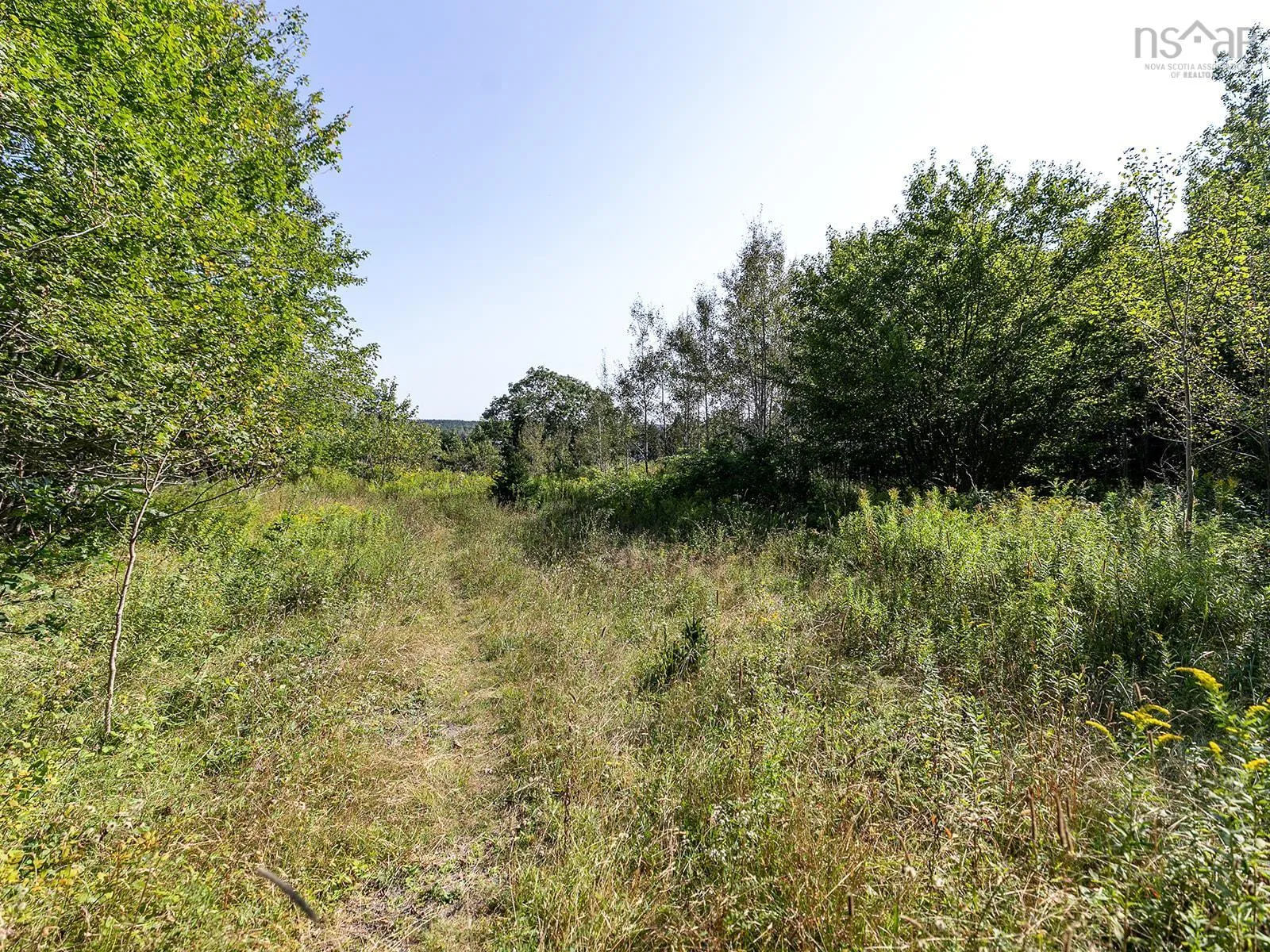 293 Hillside Drive, Boutiliers Point, NS B3Z 1W9, ,Land,For Sale,Hillside,202522273
