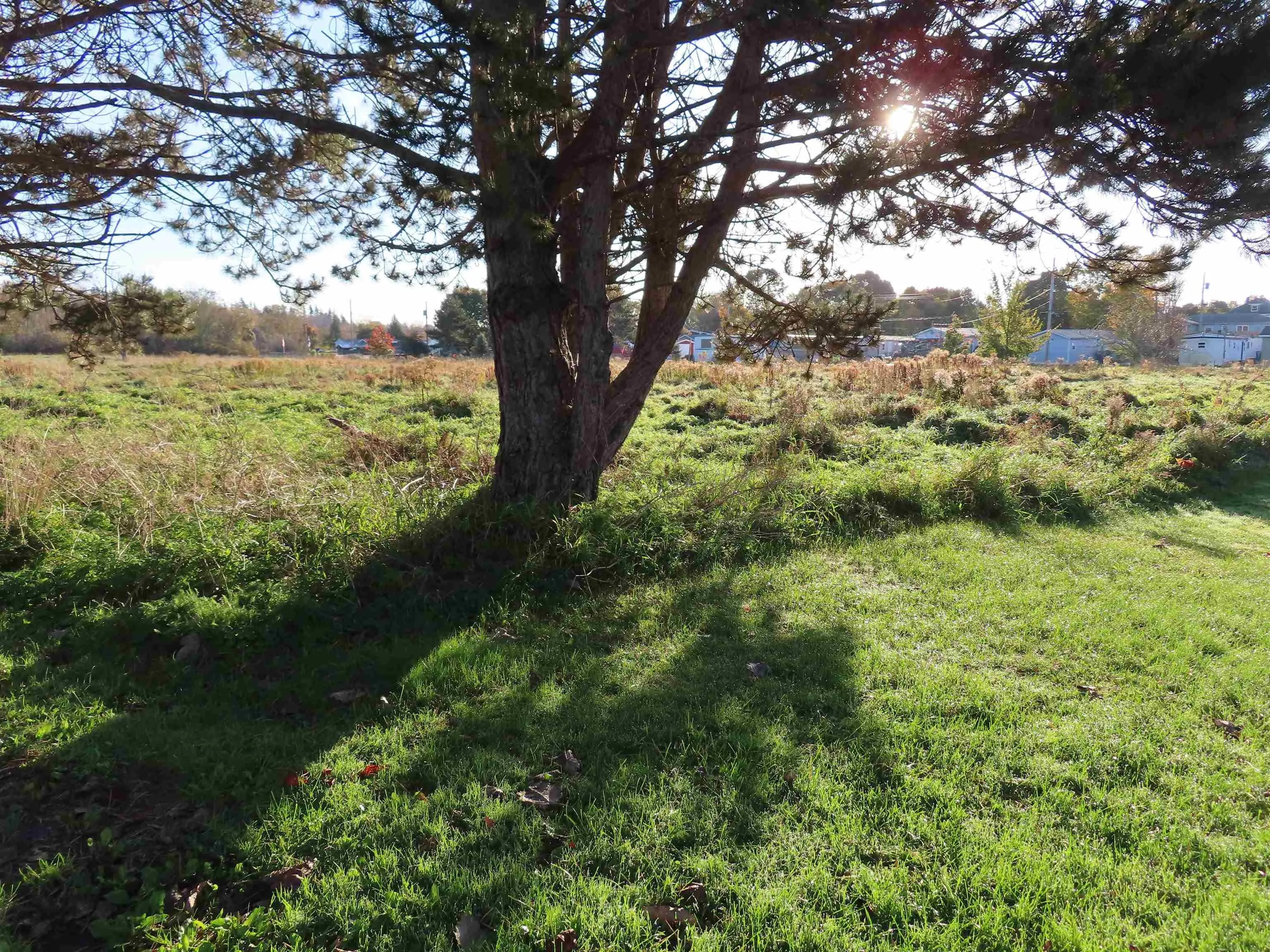 Maclellan Street, Antigonish County, NS B2G 1V5, ,Land,For Sale,Maclellan Street,202322632