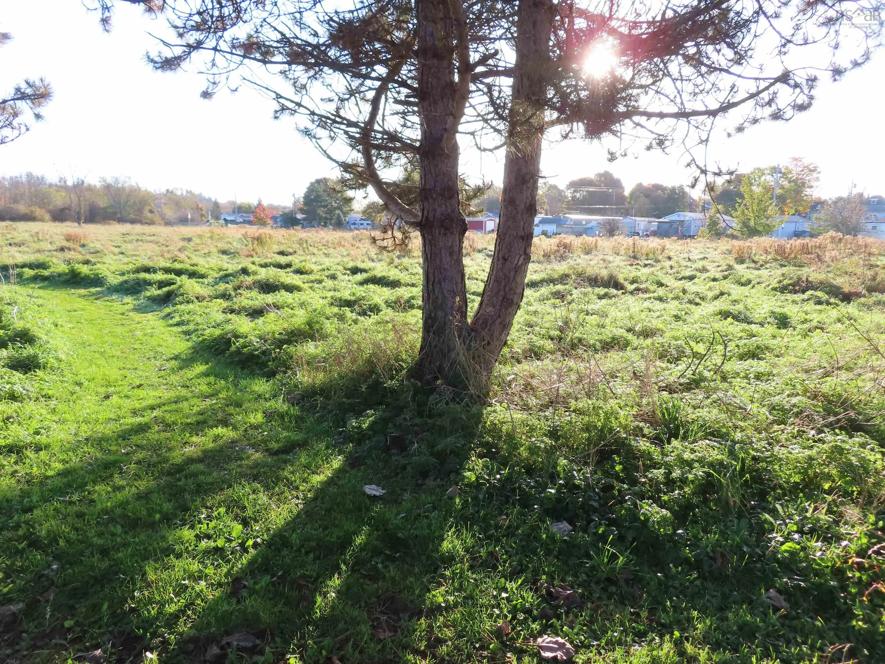 Maclellan Street, Antigonish County, NS B2G 1V5, ,Land,For Sale,Maclellan Street,202322632