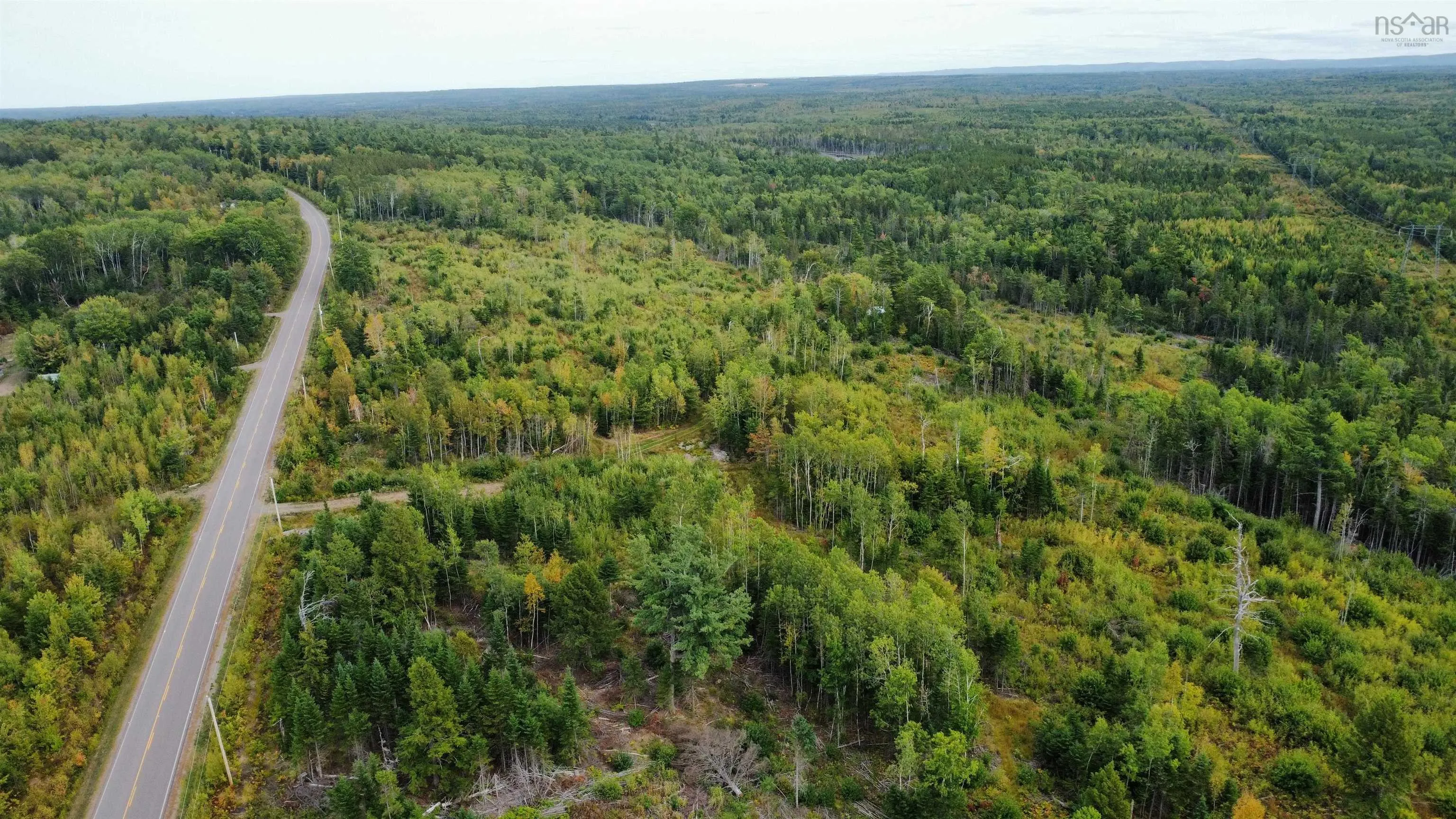 6620/6488 Hwy#321 Highway, Roslin, NS B0M 1P0, ,Land,For Sale,Hwy#321,202523148