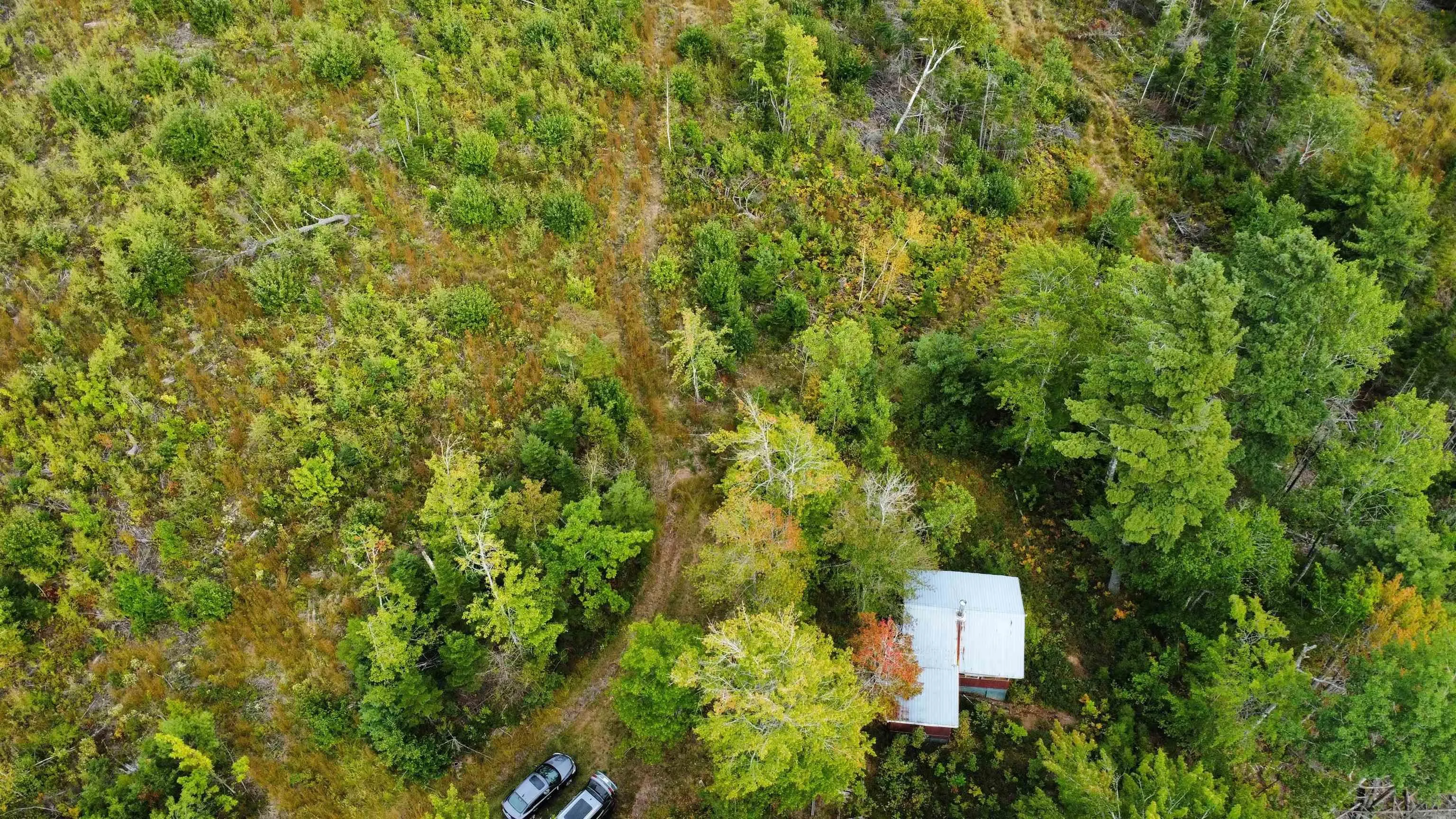 6620/6488 Hwy#321 Highway, Roslin, NS B0M 1P0, ,Land,For Sale,Hwy#321,202523148