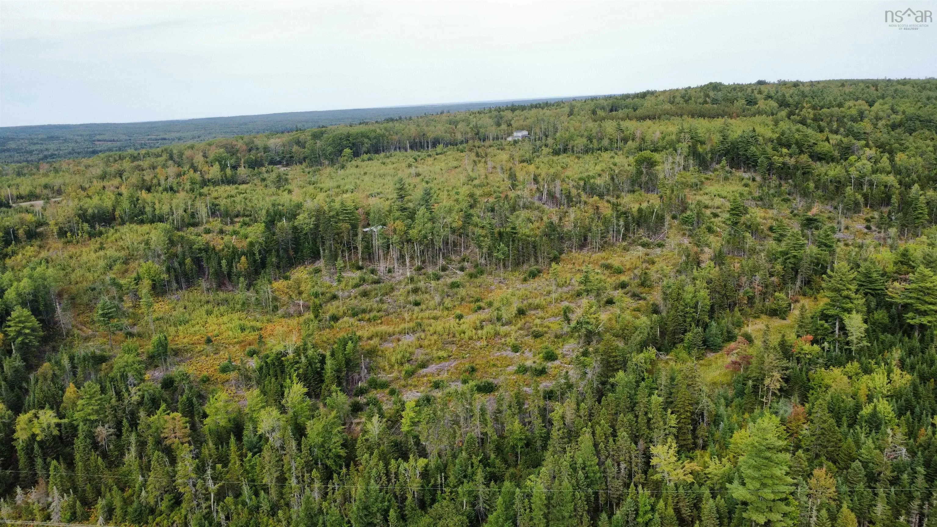 6620/6488 Hwy#321 Highway, Roslin, NS B0M 1P0, ,Land,For Sale,Hwy#321,202523148