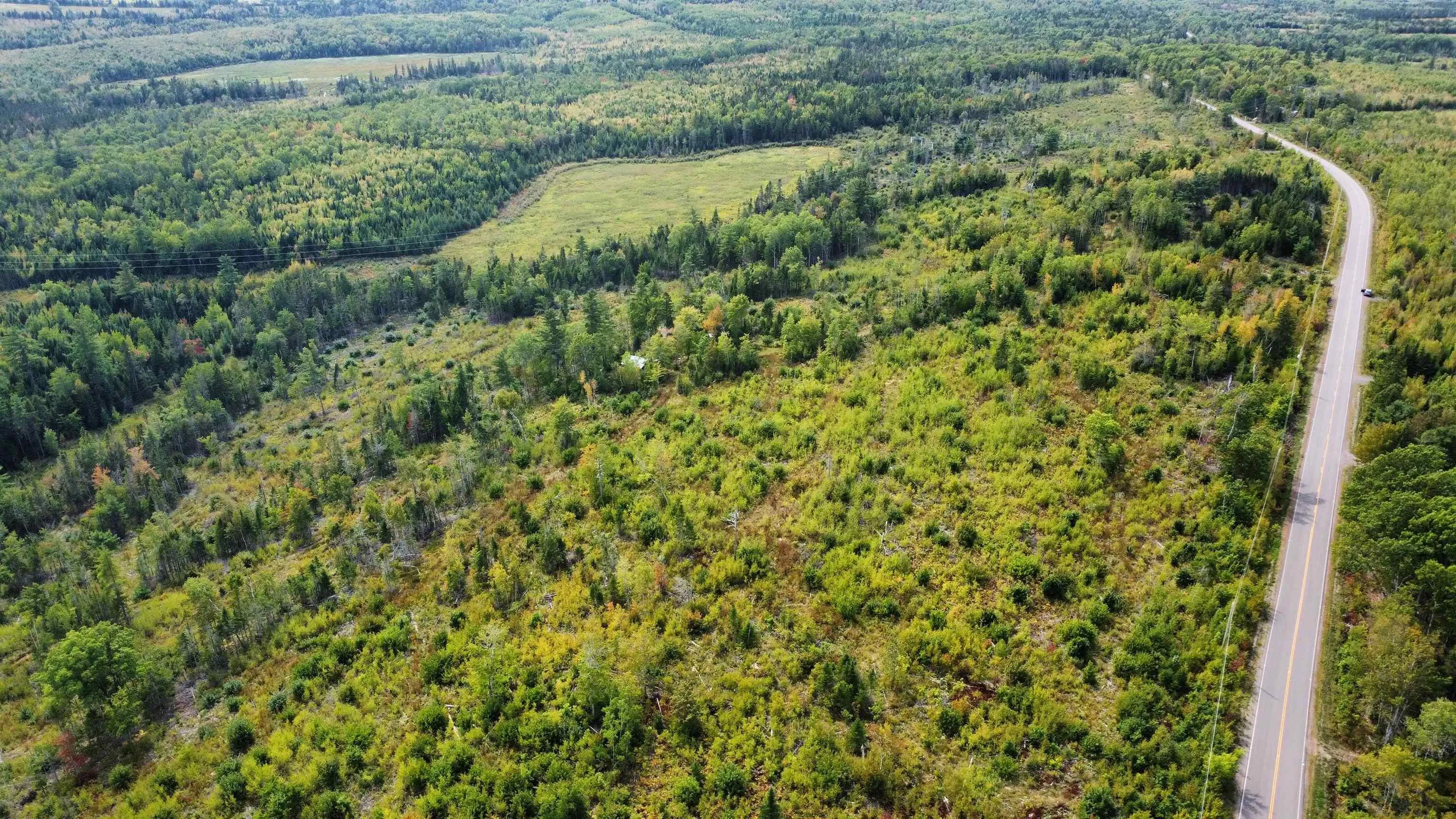 6620/6488 Hwy#321 Highway, Roslin, NS B0M 1P0, ,Land,For Sale,Hwy#321,202523148