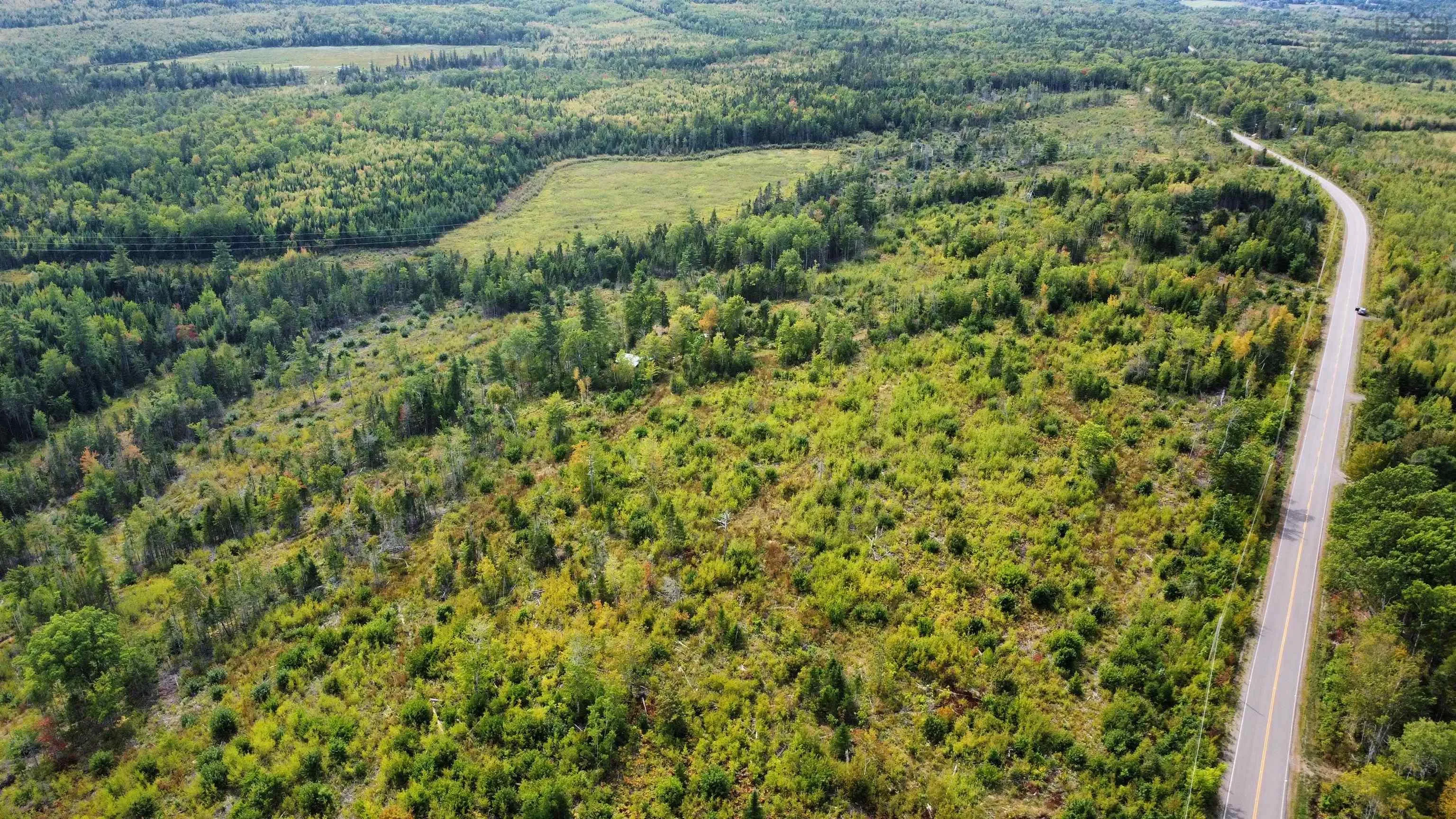 6620/6488 Hwy#321 Highway, Roslin, NS B0M 1P0, ,Land,For Sale,Hwy#321,202523148