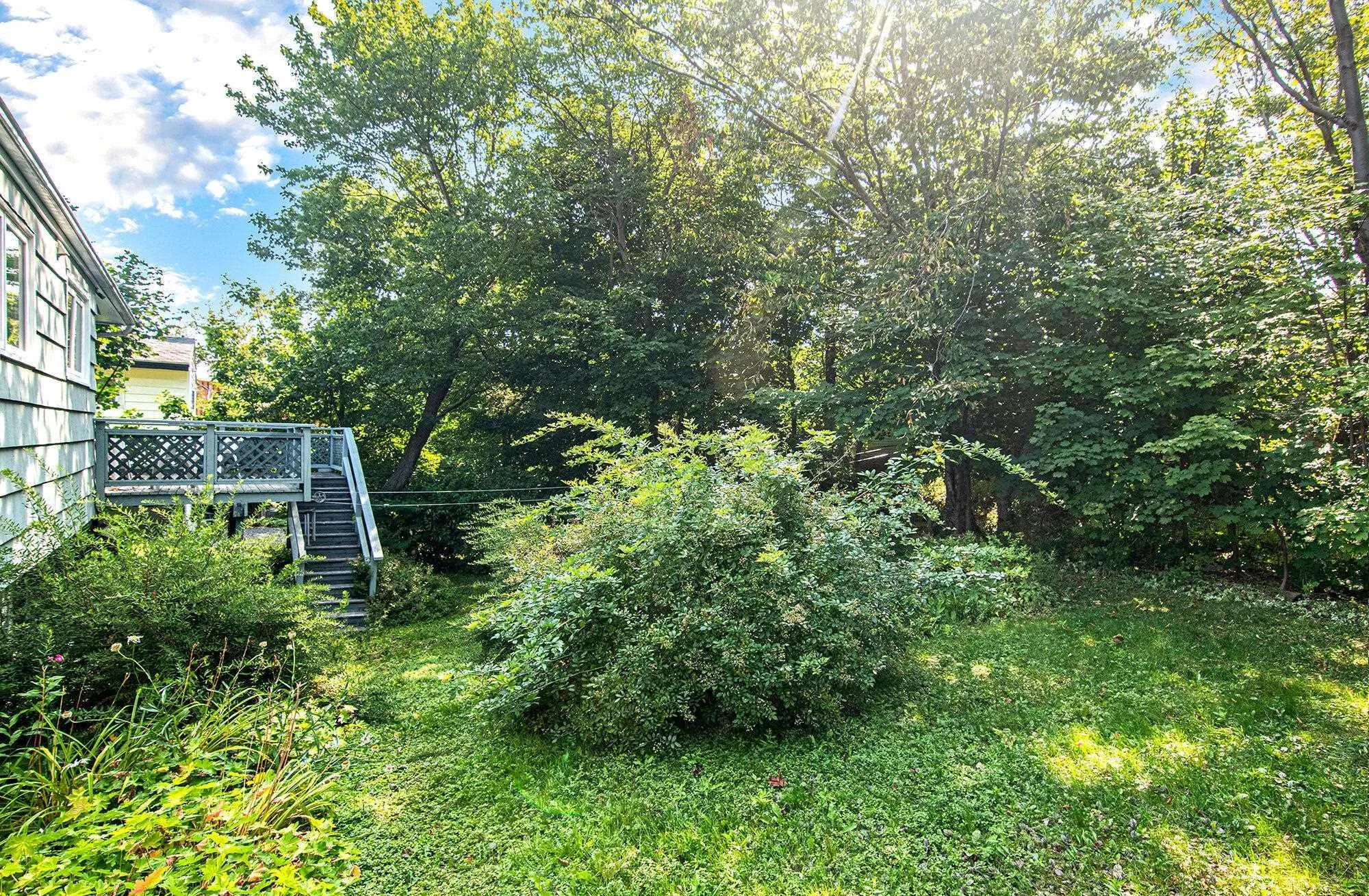 220 Melrose Avenue, Halifax, NS B3N 2E7, 4 Bedrooms Bedrooms, ,2 BathroomsBathrooms,Residential,For Sale,Melrose,202520520