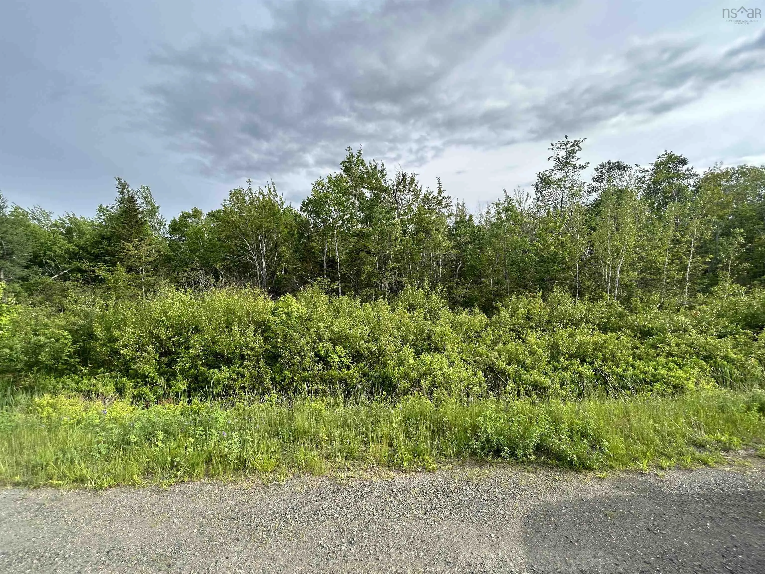 No 104 Highway, Wentworth Ns B0m 1x0, ,Land,For Sale,Highway,202510026