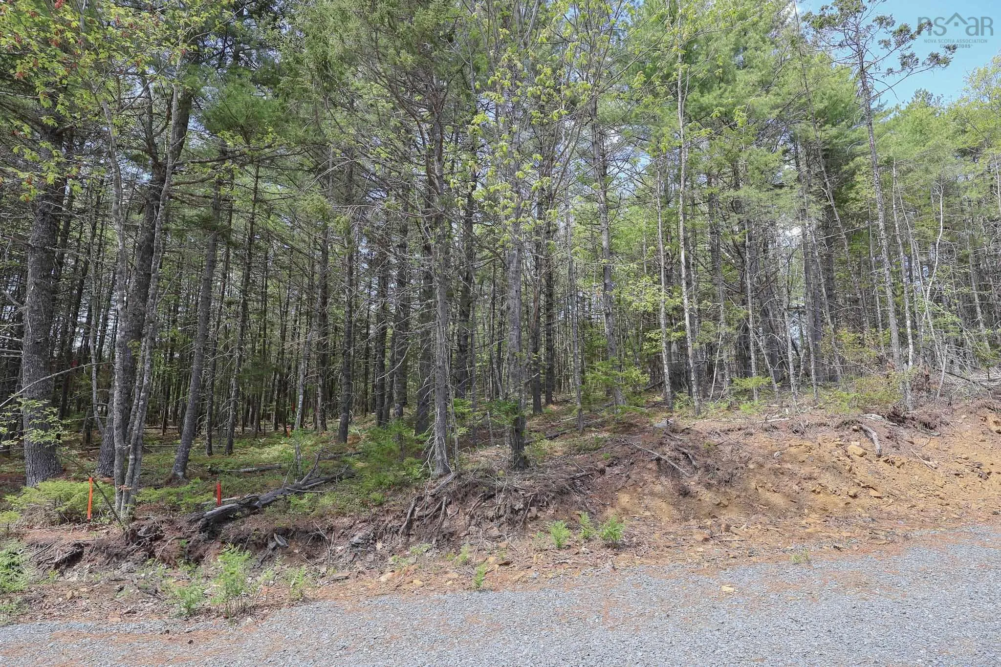 Cleversey Ridge Park Lot 101, Fauxburg, NS B0J 2C0, ,Land,For Sale,Cleversey Ridge,202512848