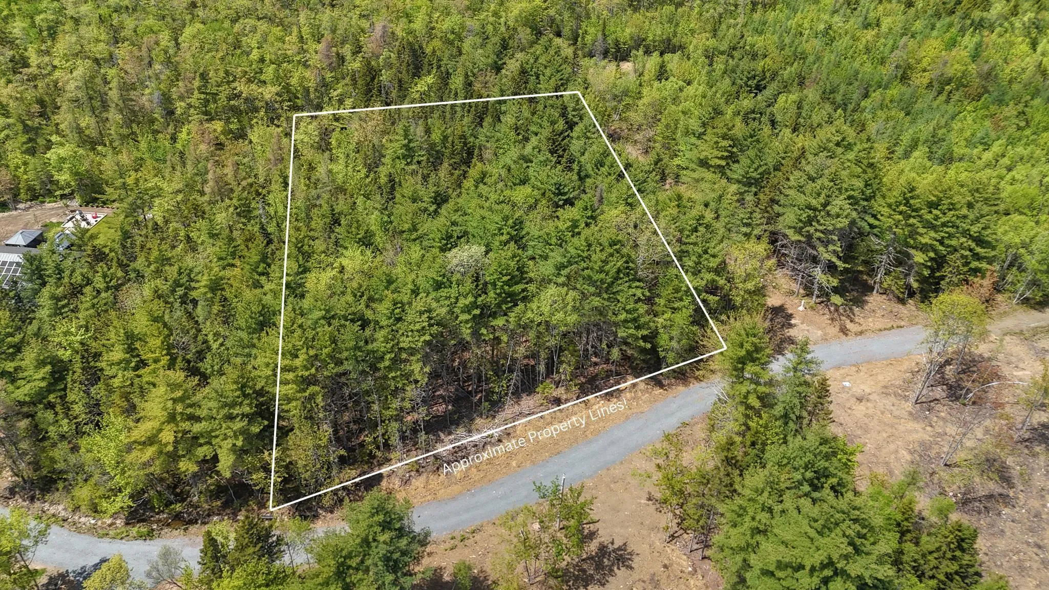 Cleversey Ridge Park Lot 101, Fauxburg, NS B0J 2C0, ,Land,For Sale,Cleversey Ridge,202512848