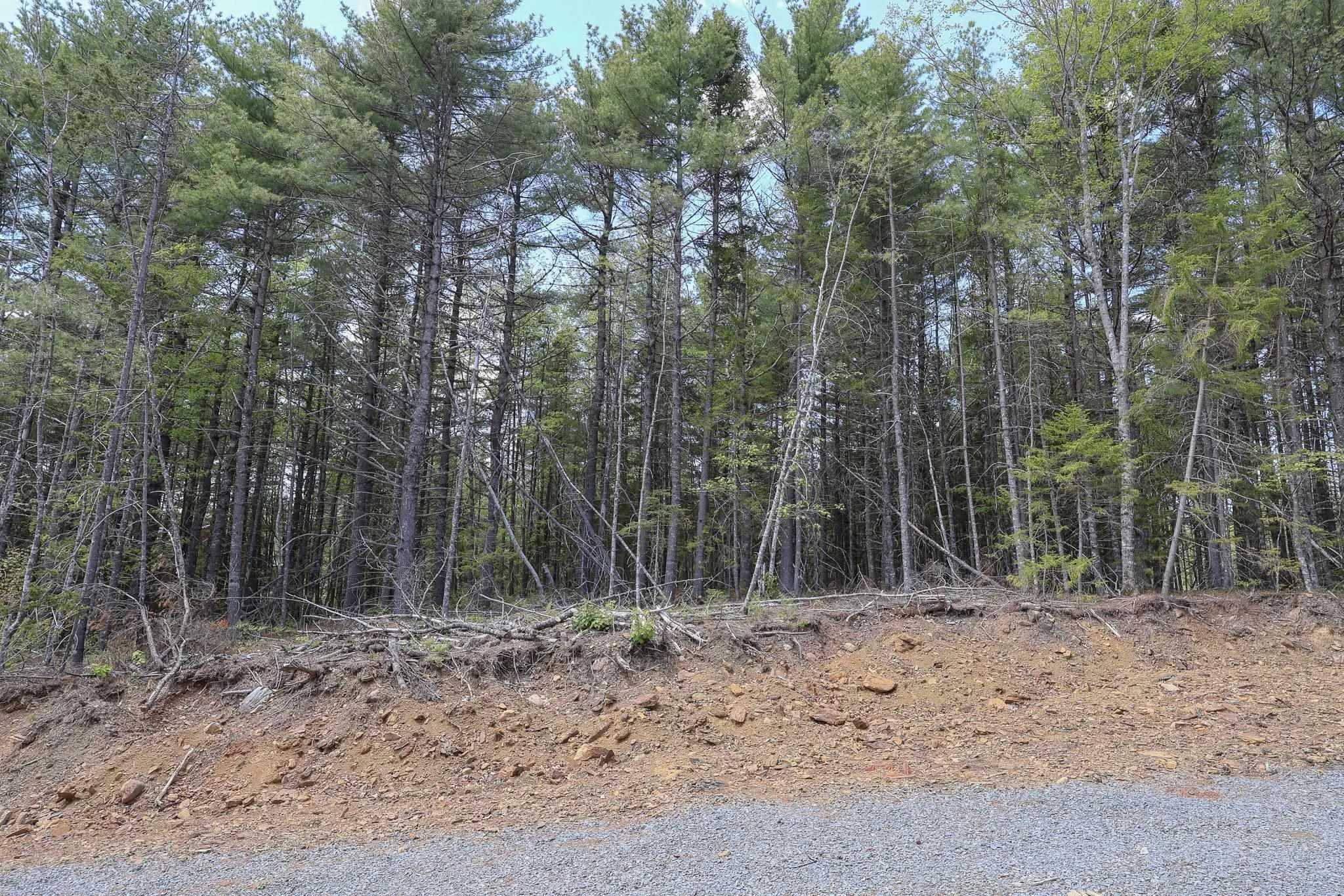 Cleversey Ridge Park Lot 101, Fauxburg, NS B0J 2C0, ,Land,For Sale,Cleversey Ridge,202512848