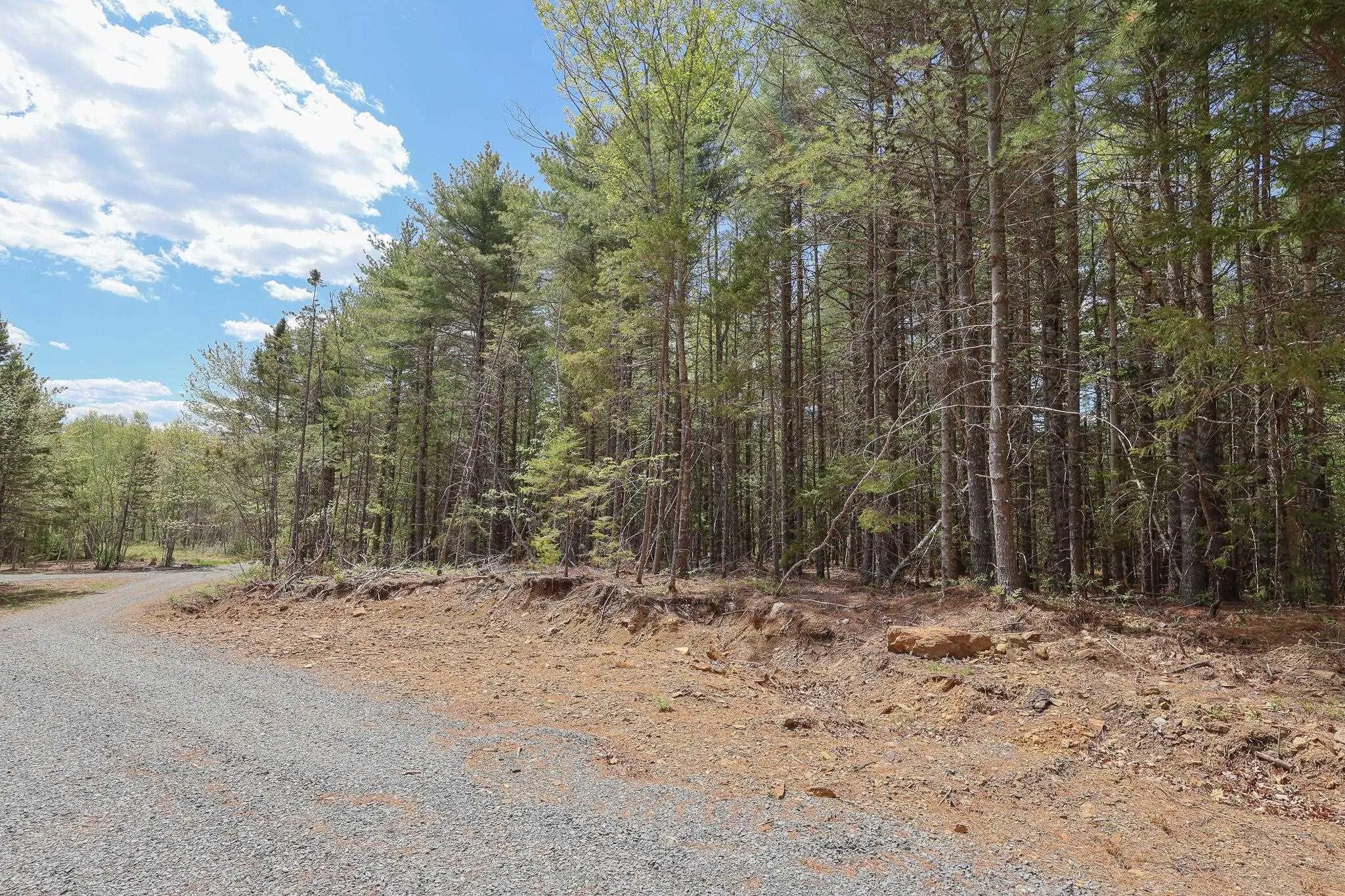 Cleversey Ridge Park Lot 101, Fauxburg, NS B0J 2C0, ,Land,For Sale,Cleversey Ridge,202512848
