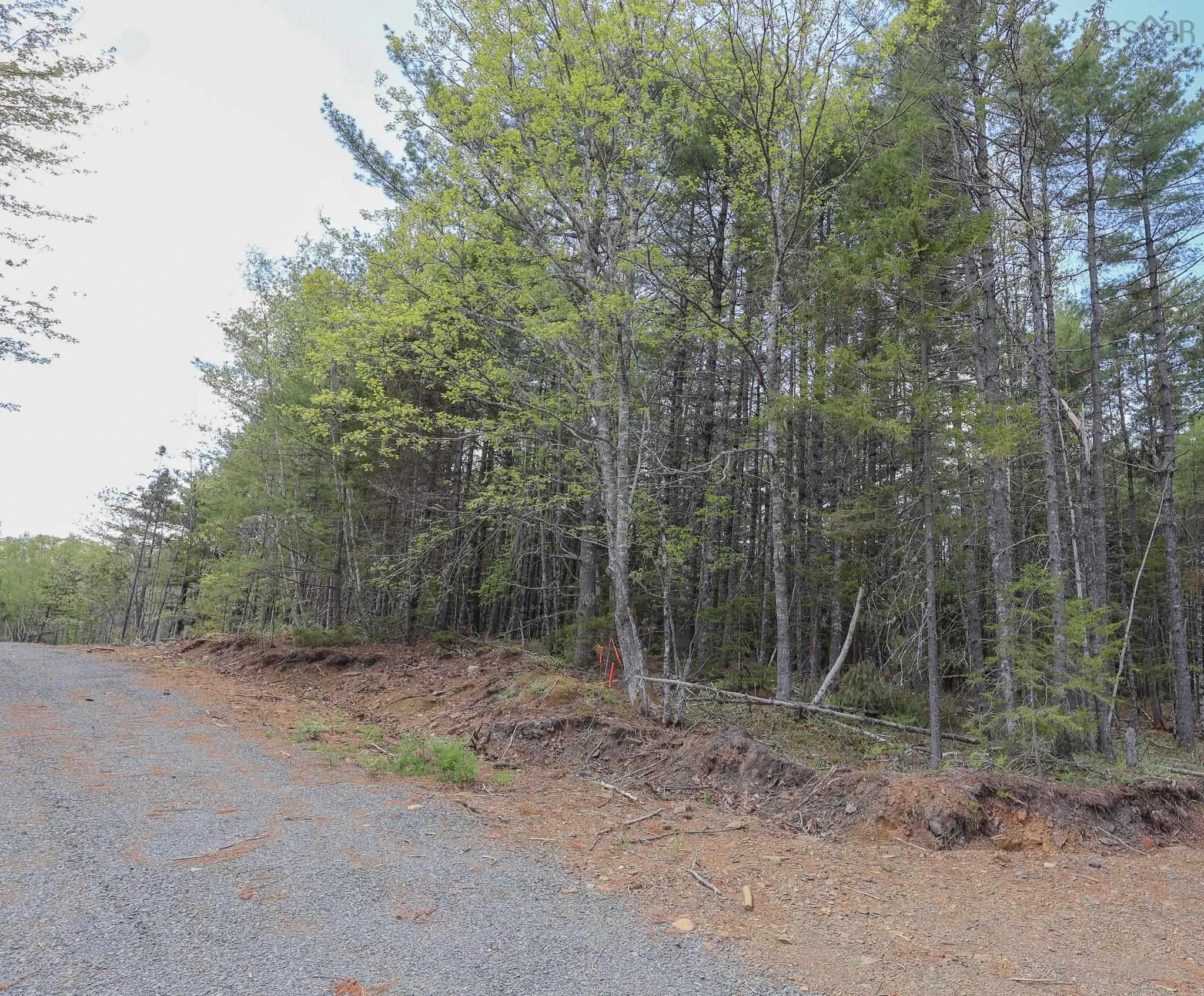 Cleversey Ridge Park Lot 101, Fauxburg, NS B0J 2C0, ,Land,For Sale,Cleversey Ridge,202512848