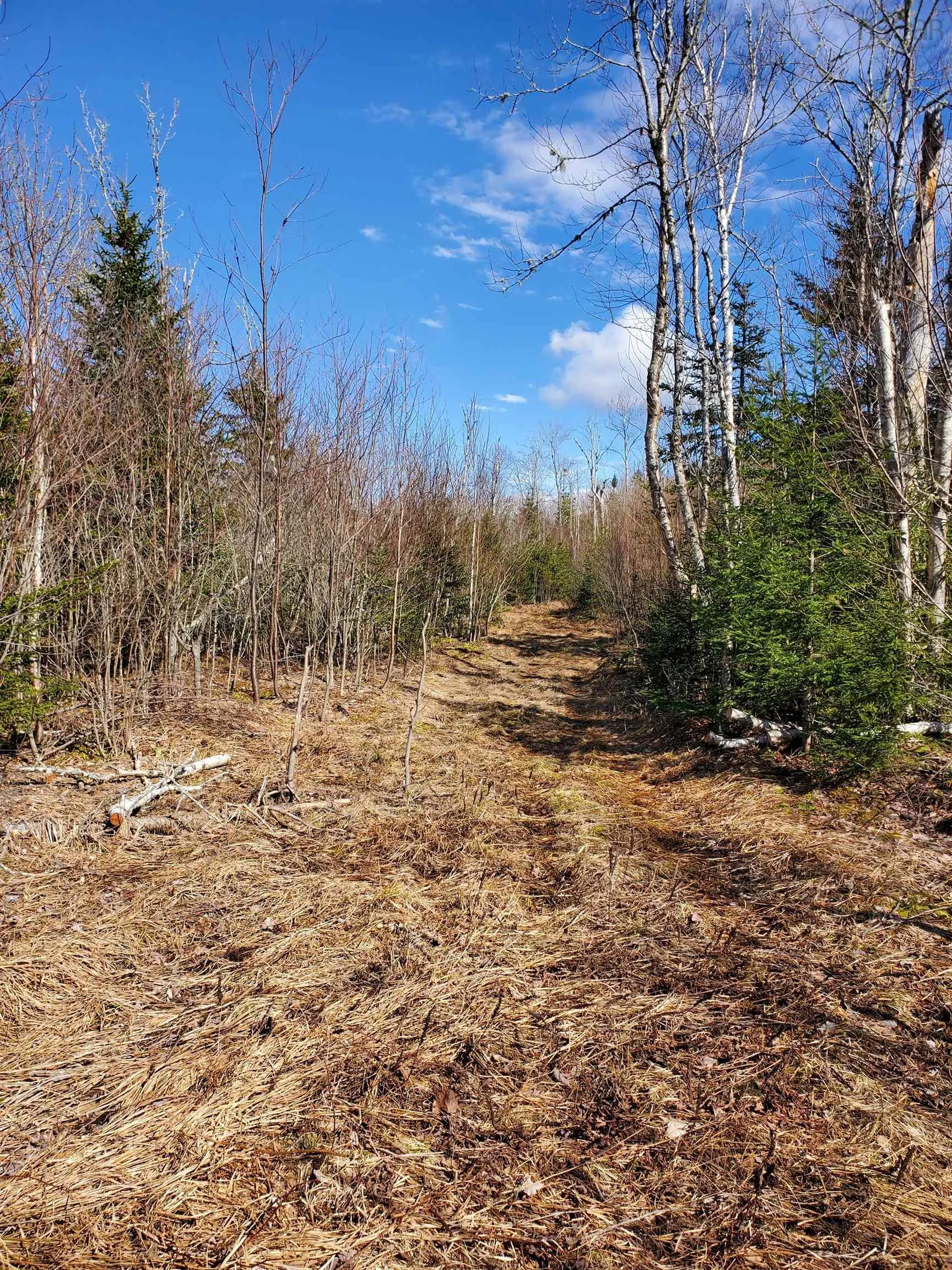 760 Lower Maccan Road, Lower Maccan, NS B0L 1B0, ,Land,For Sale,Lower Maccan,202522172