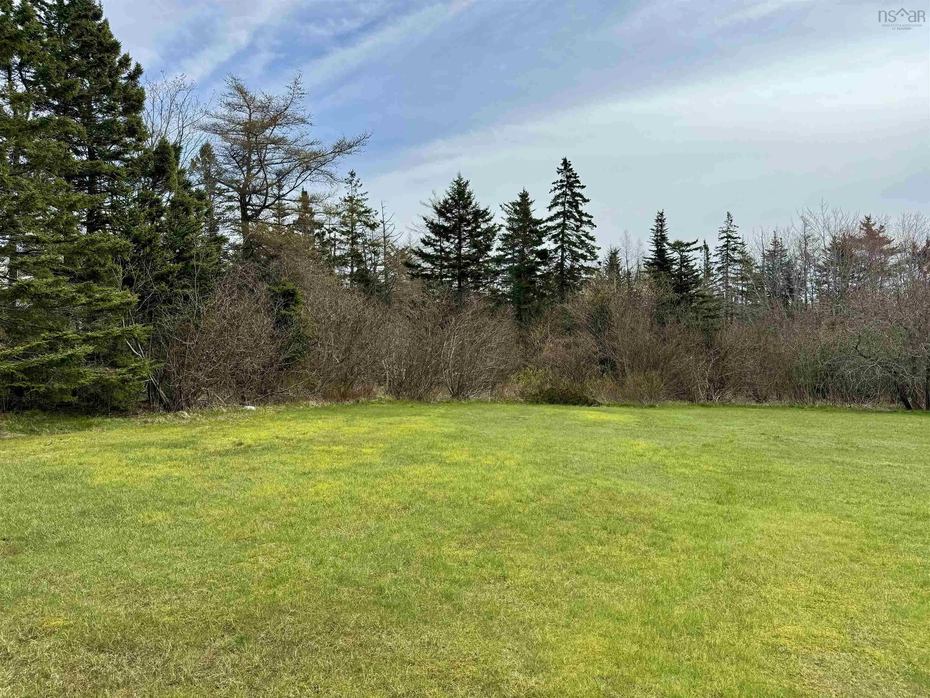 Highway 320, Louisdale Ns B0e 1v0, ,Land,For Sale,Highway 320,202410555